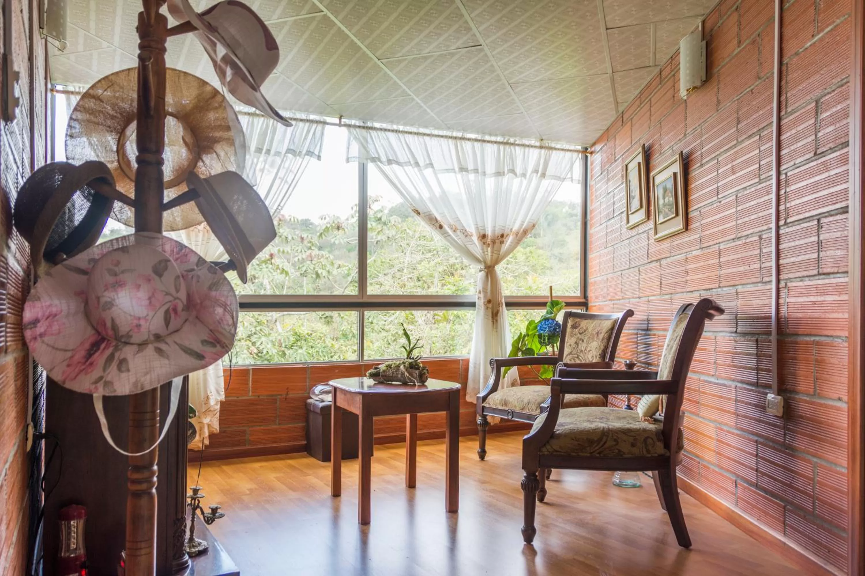 Library in Hosteria Florecer