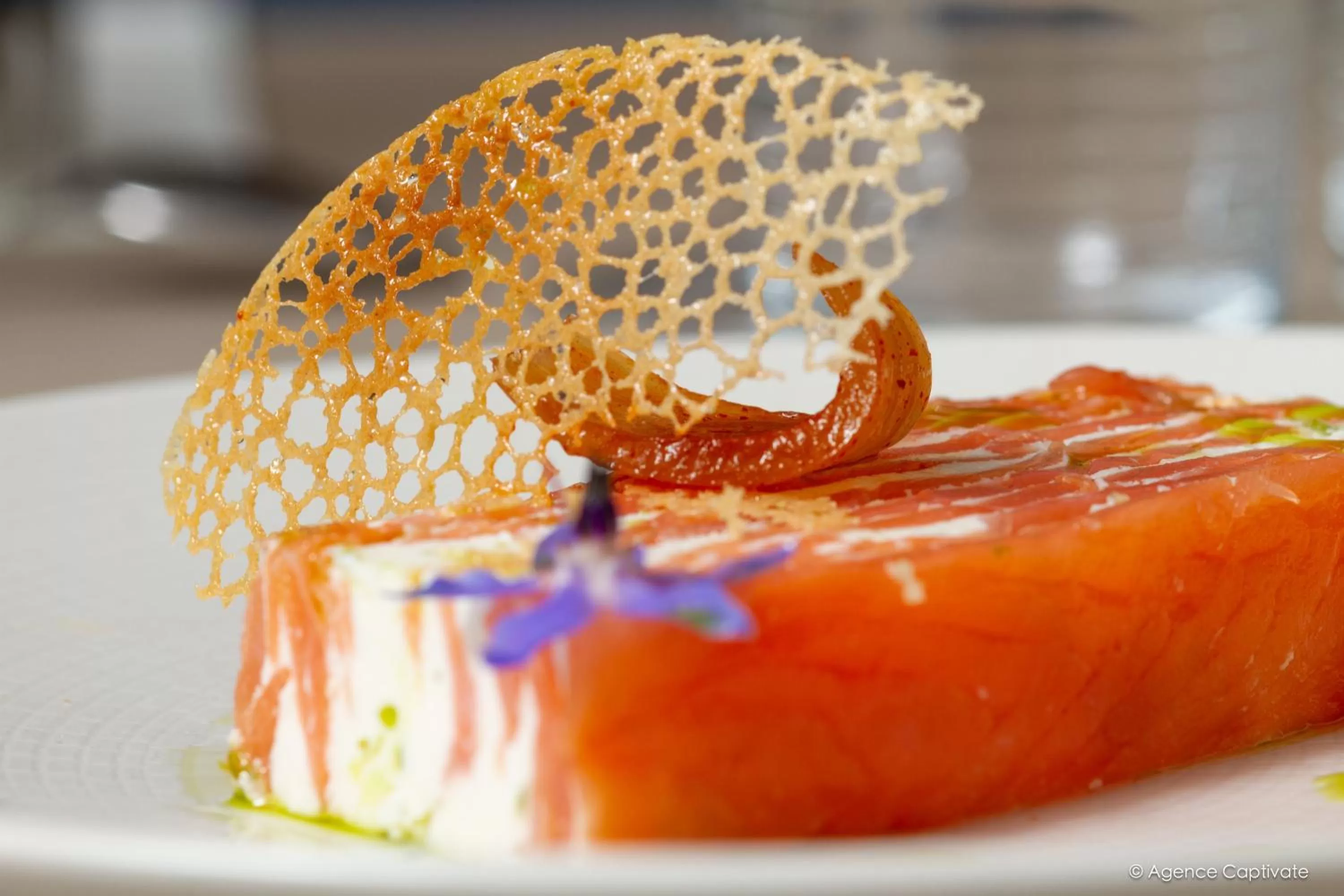 Restaurant/places to eat, Food in Hotel Restaurant Spa De La Citadelle Lorient