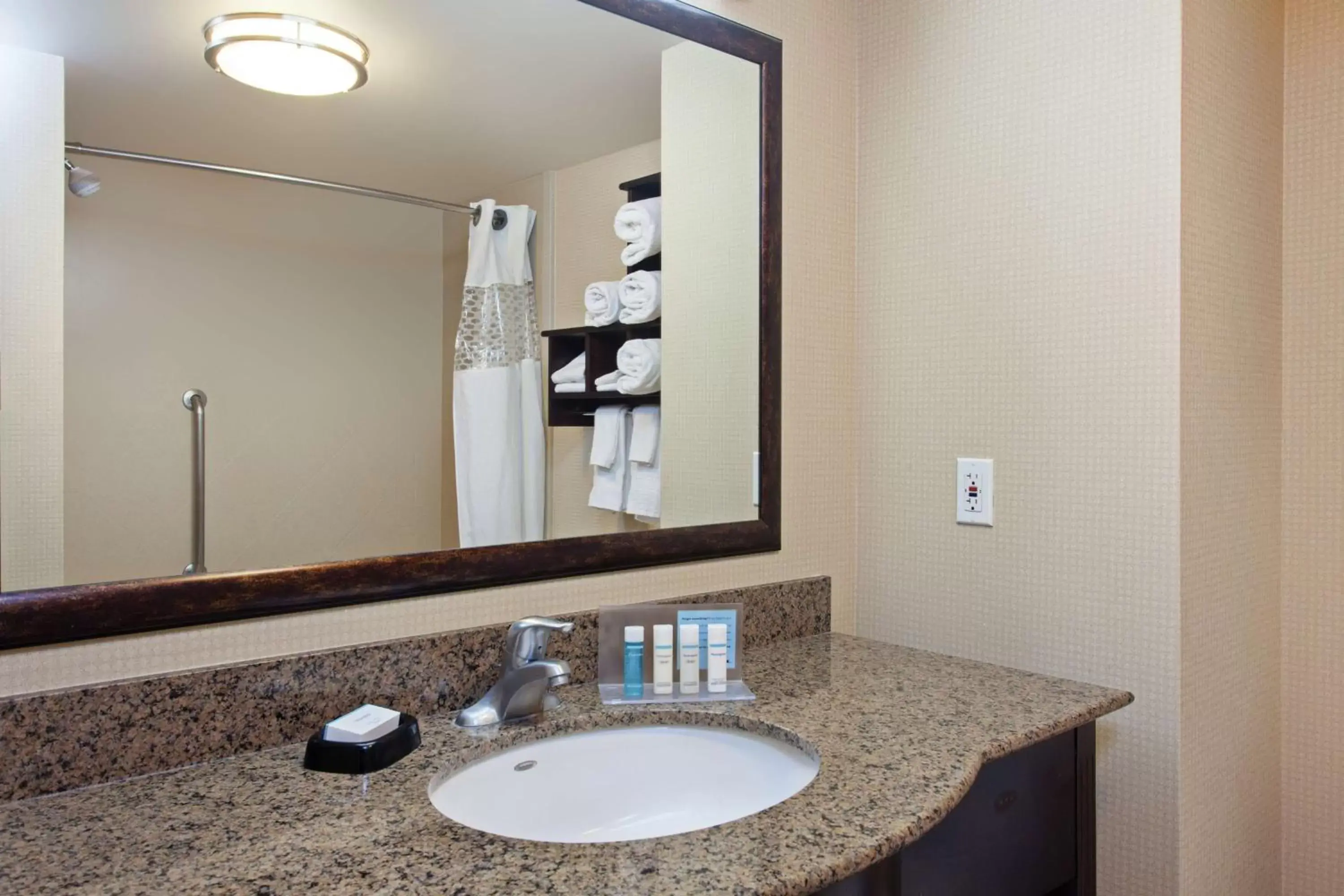 Bathroom in Hampton Inn & Suites Fresno - Northwest