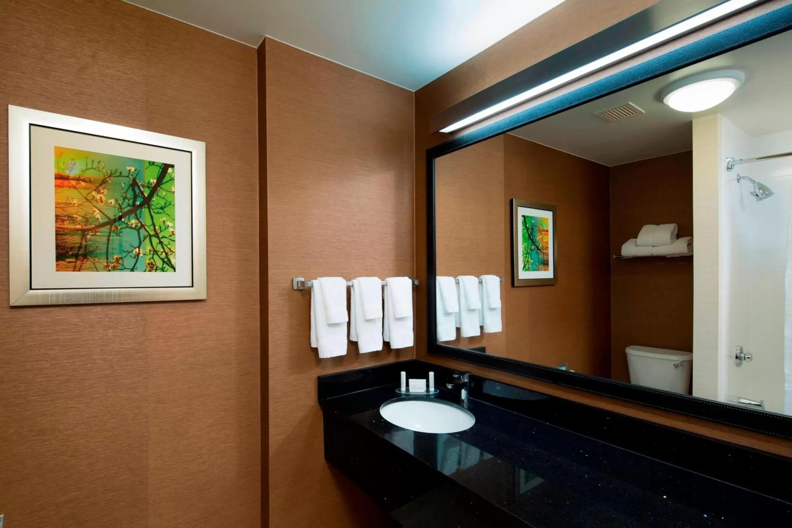 Bathroom in Fairfield Inn & Suites by Marriott Newark Liberty International Airport