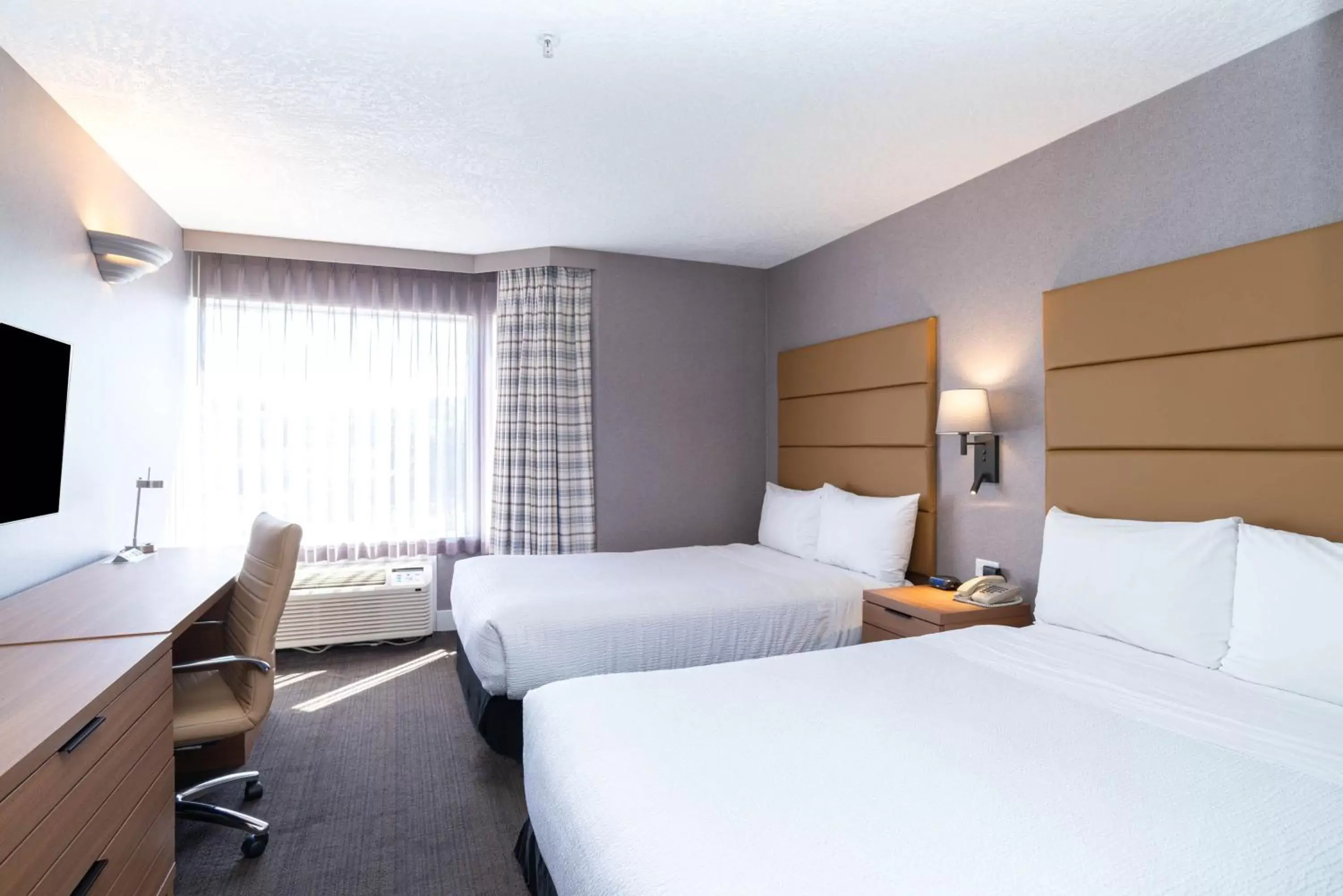 Standard Suite, 2 Double Beds, Sofa Bed, Kitchenette in Sandman Hotel Victoria Standard Suite, 2 Double Beds, Sofa Bed, Kitchenette in Sandman Hotel Victoria