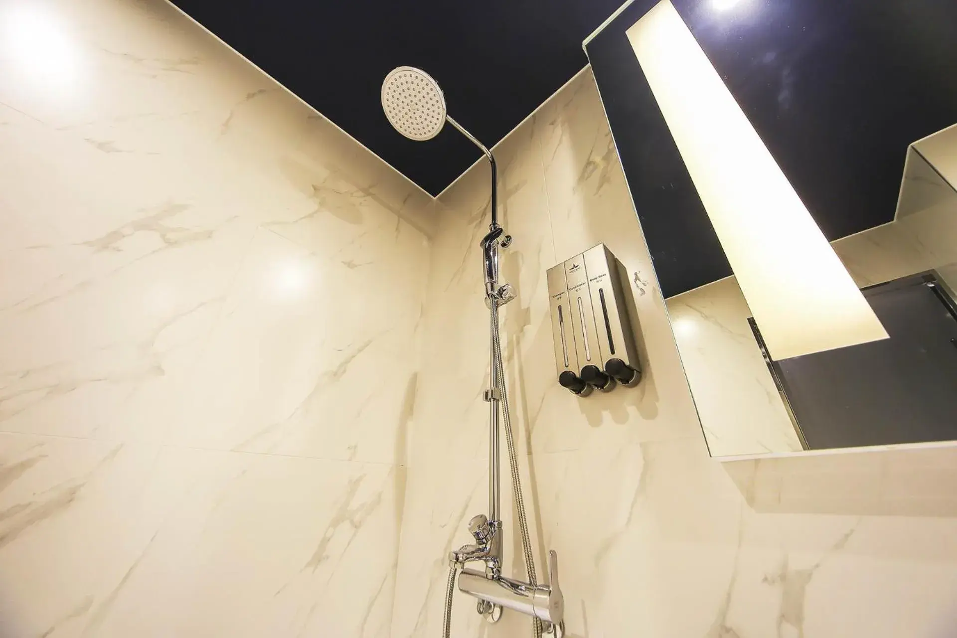 Shower, Bathroom in Hotel Star Premier Yeoksam