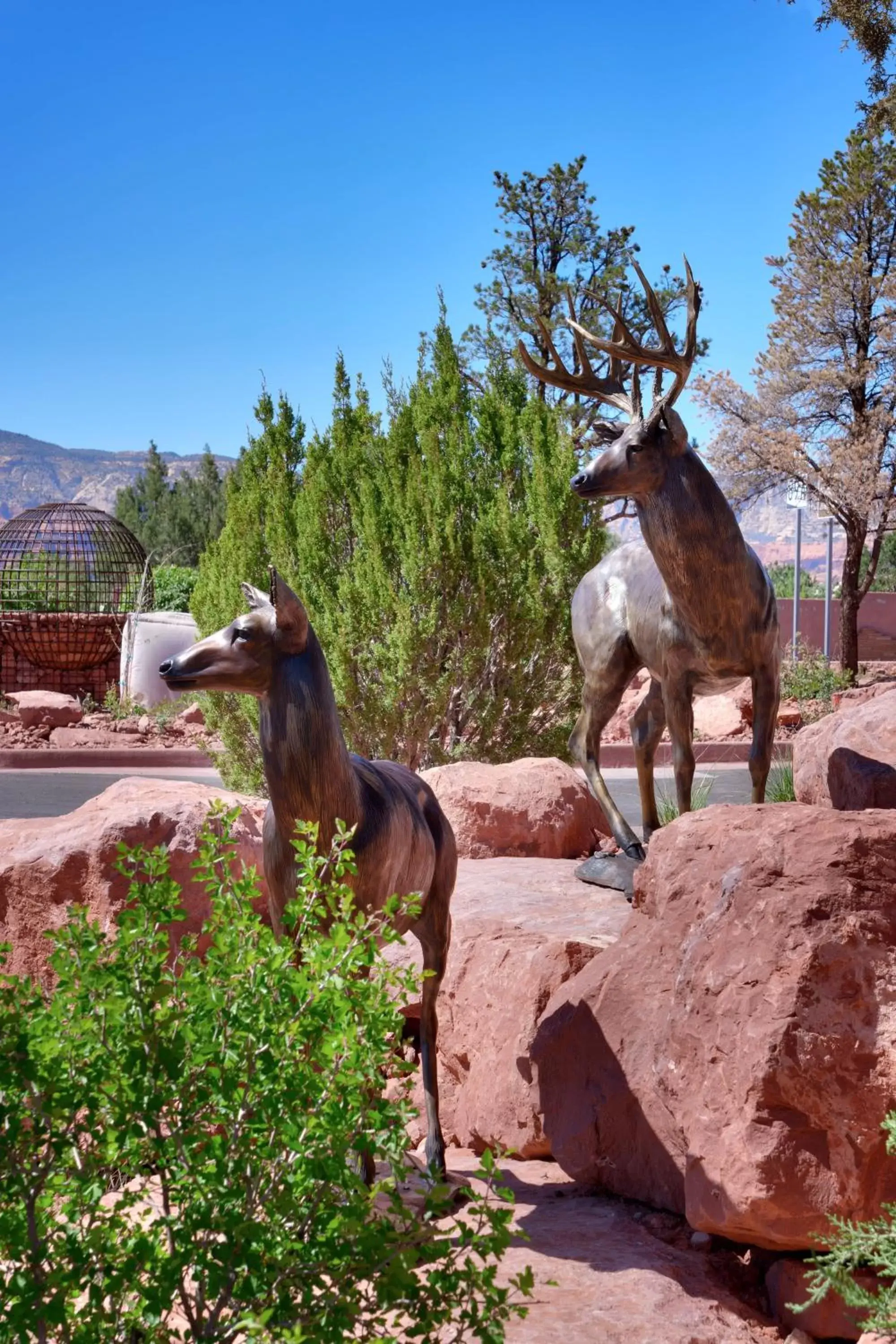Property building, Other Animals in Residence Inn by Marriott Sedona