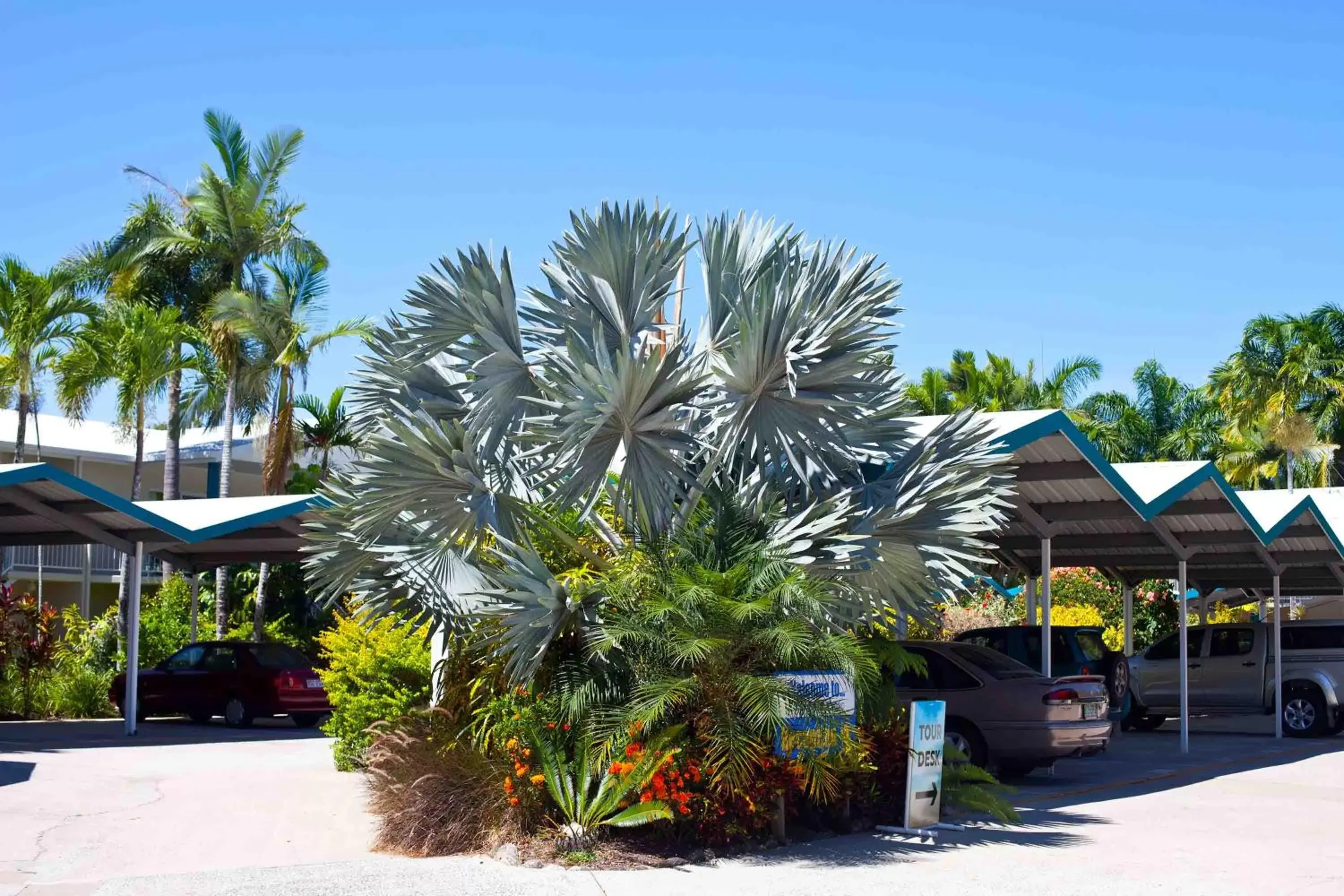 Facade/entrance, Property Building in Trinity Beach Pacific