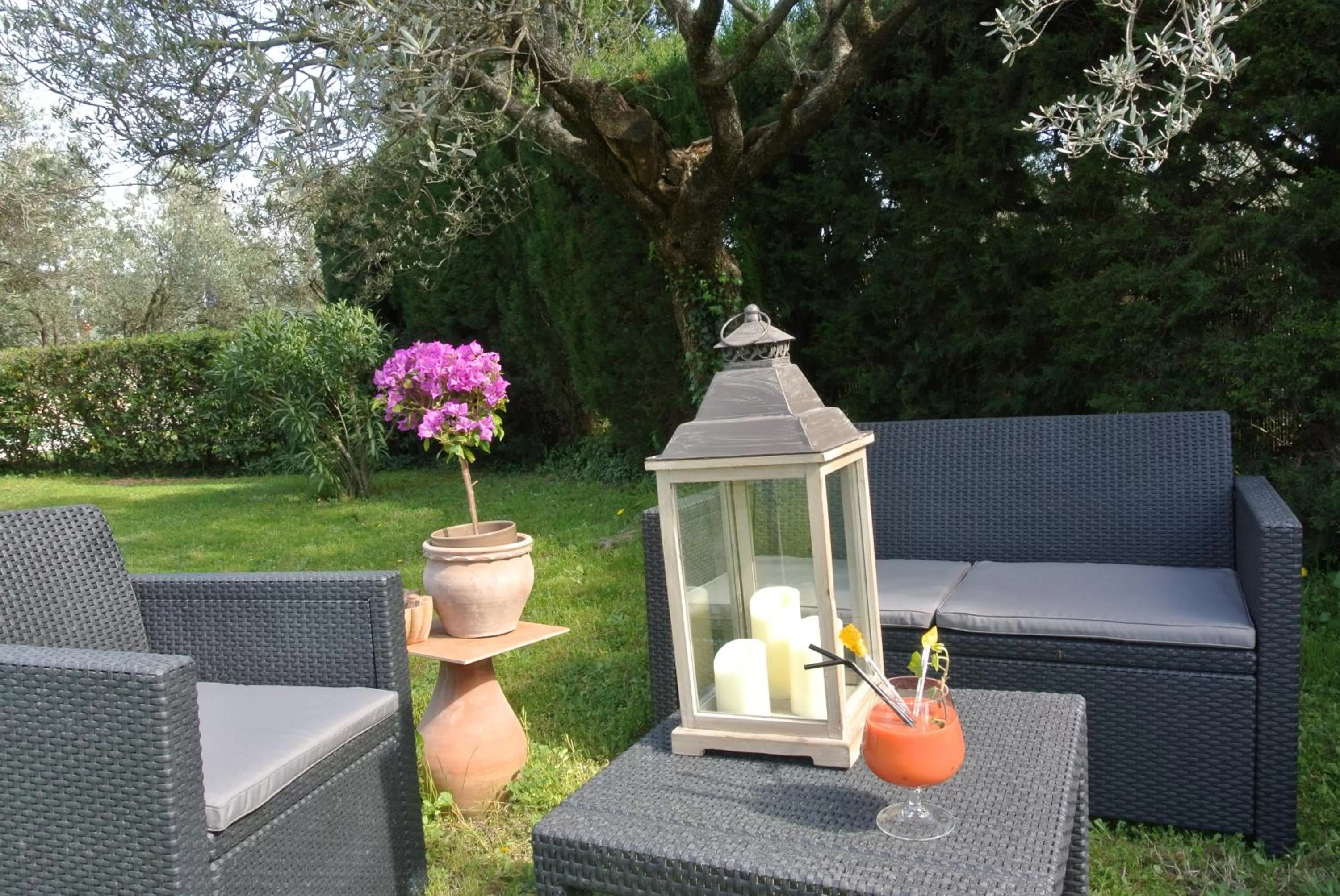 Garden in La Vieille Bastide