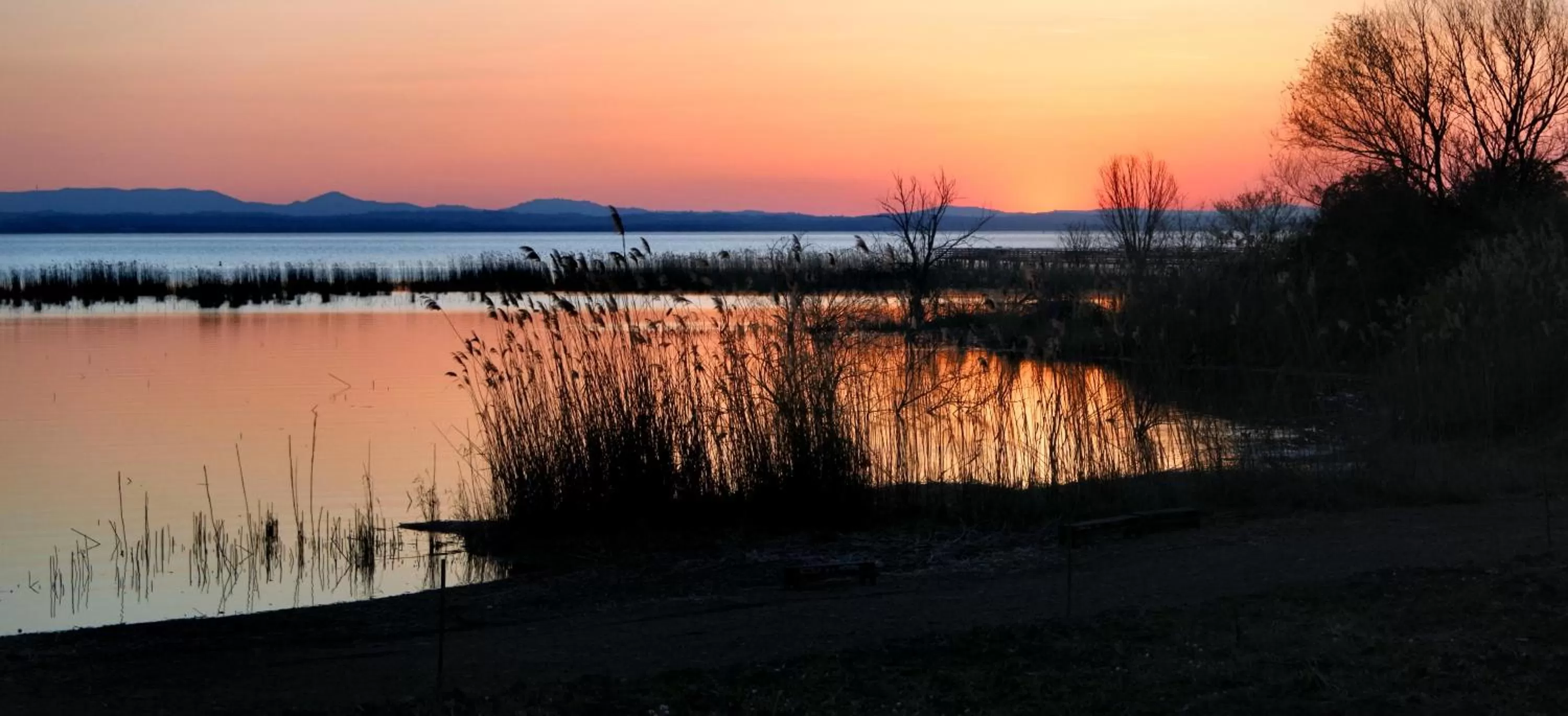 Lake view, Natural Landscape in Tenuta Badia '99