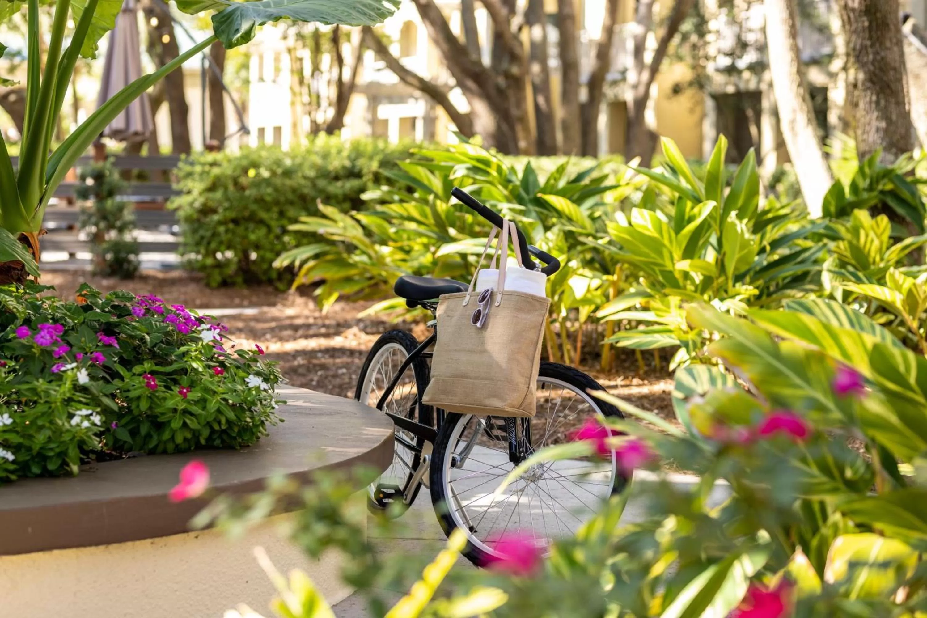 Cycling in Marriott's Barony Beach Club
