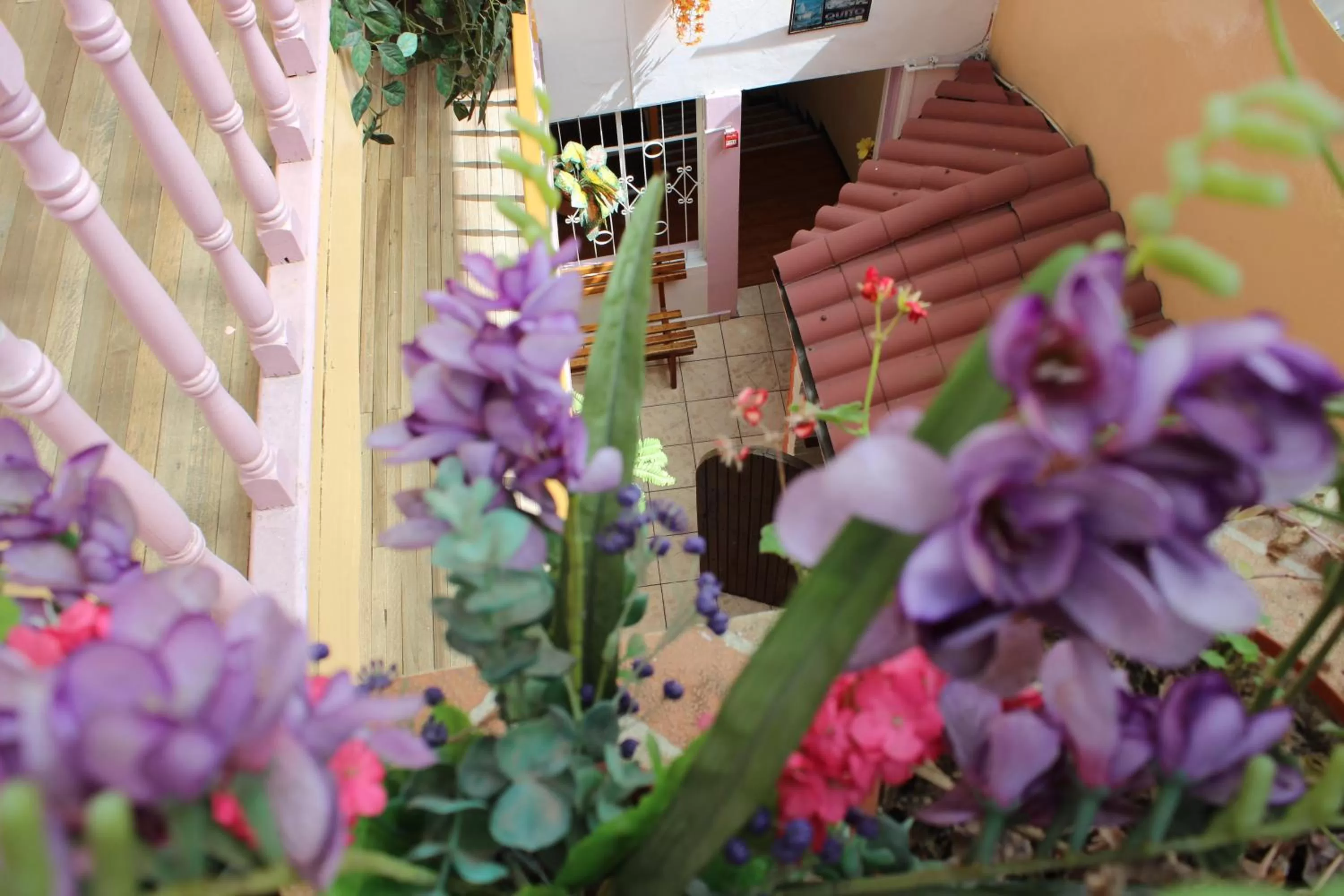 Day in Hostal Yumbo Imperial