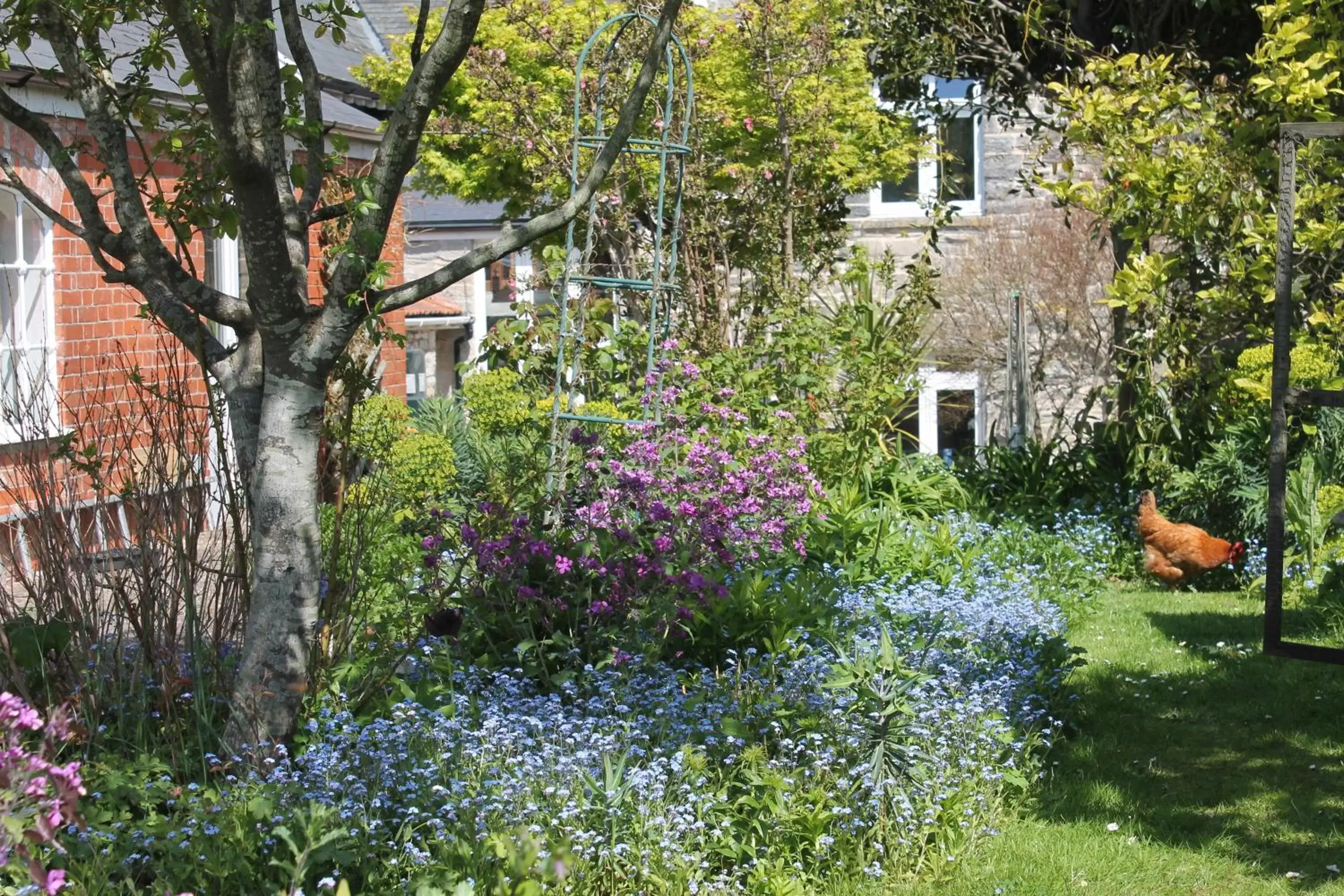 Garden in The School House