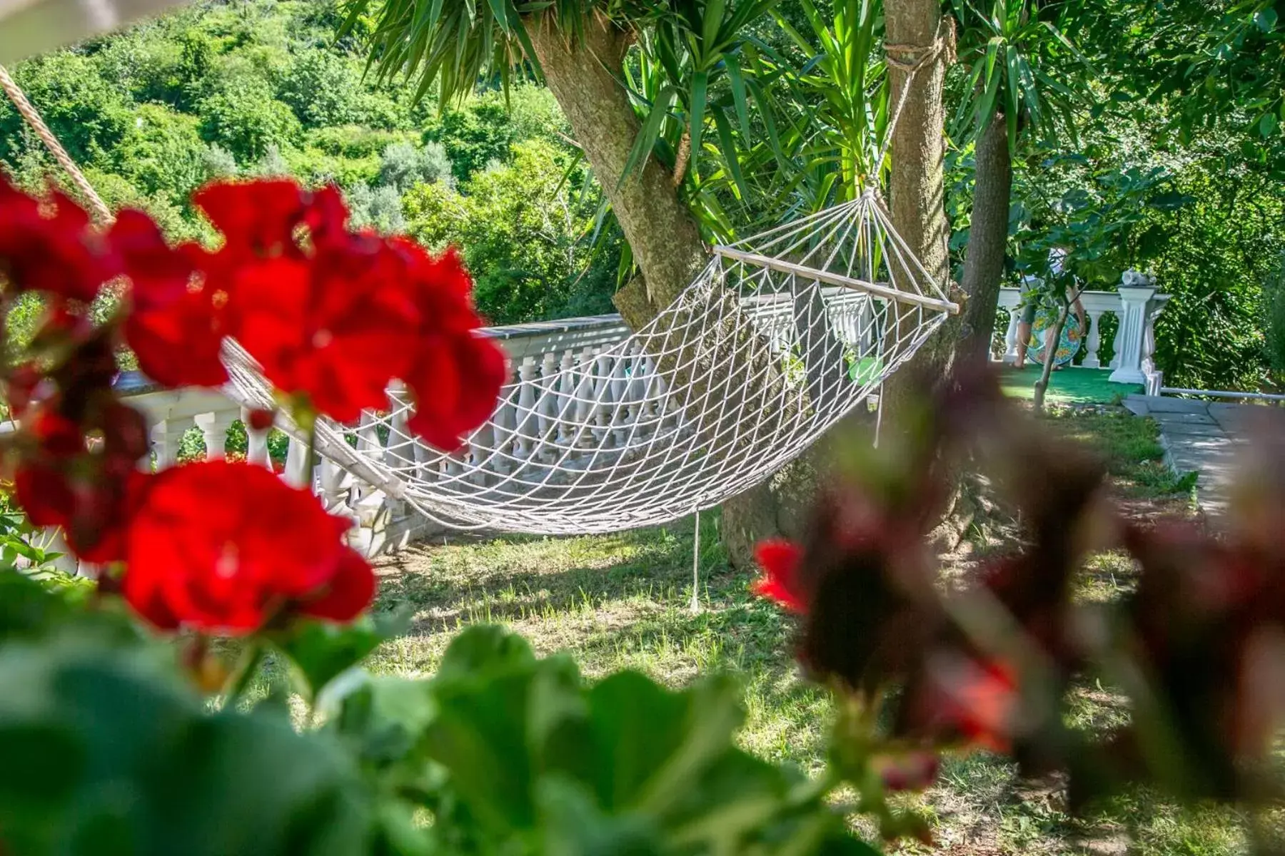 Activities, Garden in Villa Costanza sorrento B&b