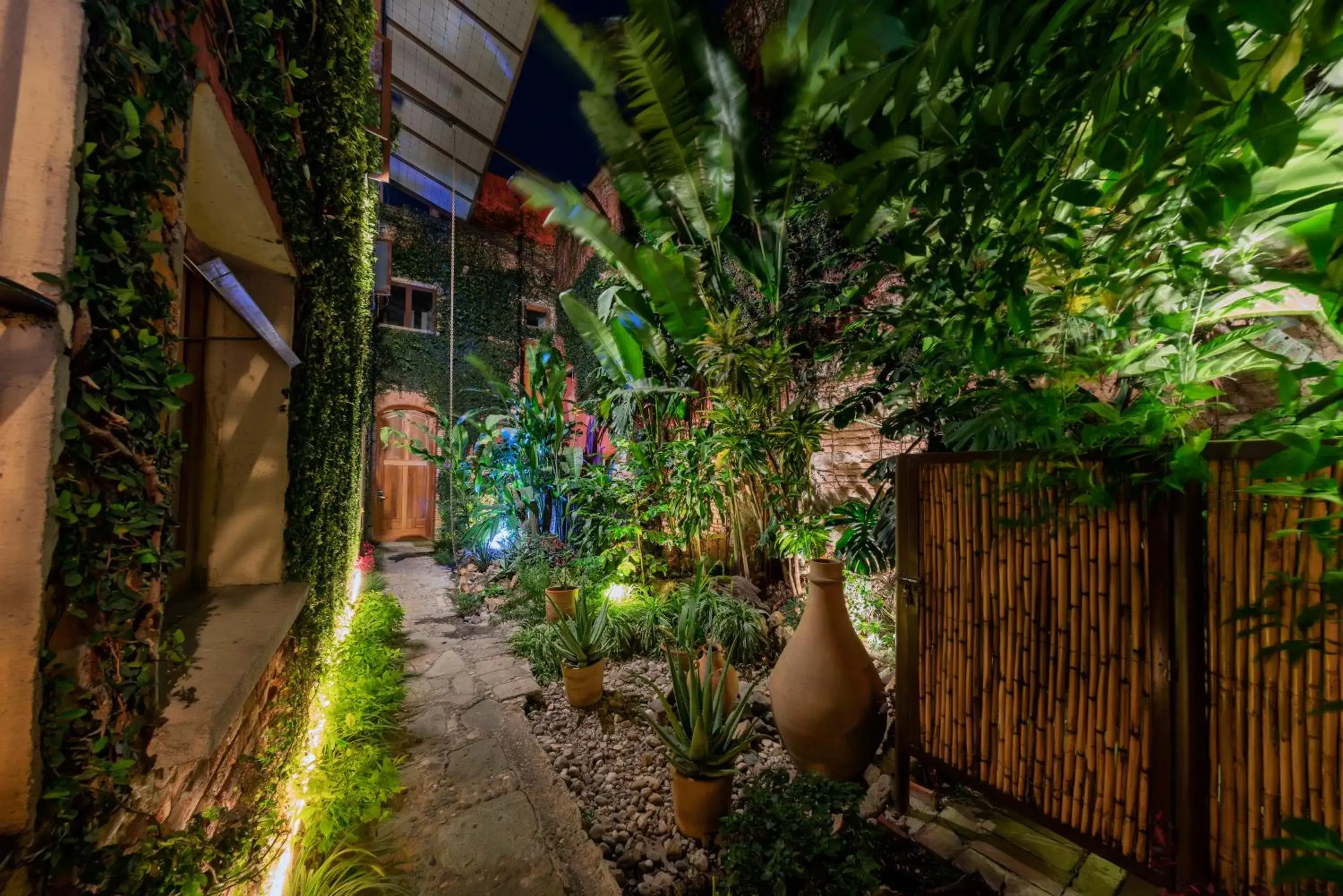 Garden in Casa De Sierra Azul