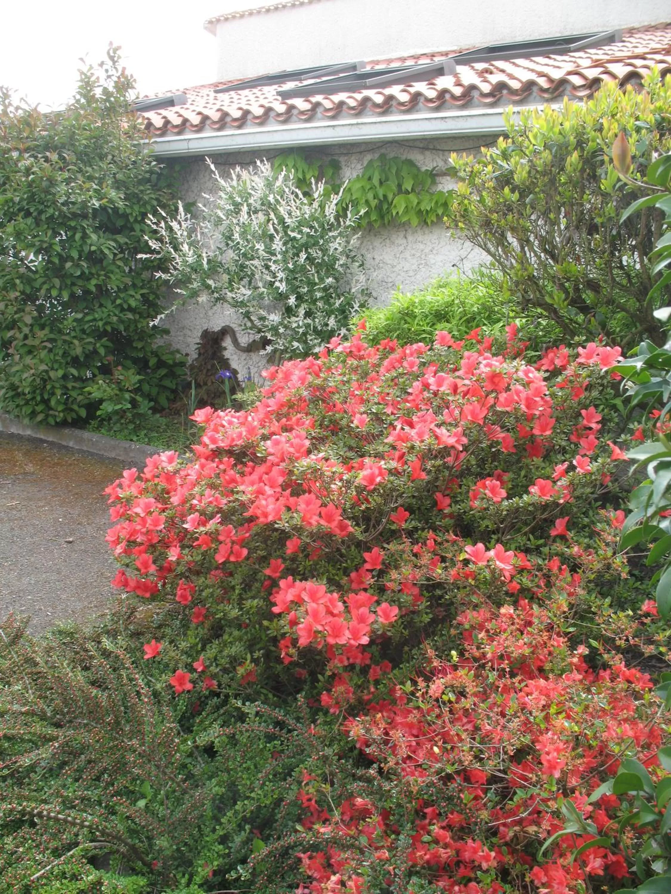 Spring in Chambres d'Hôtes Le Mûrier