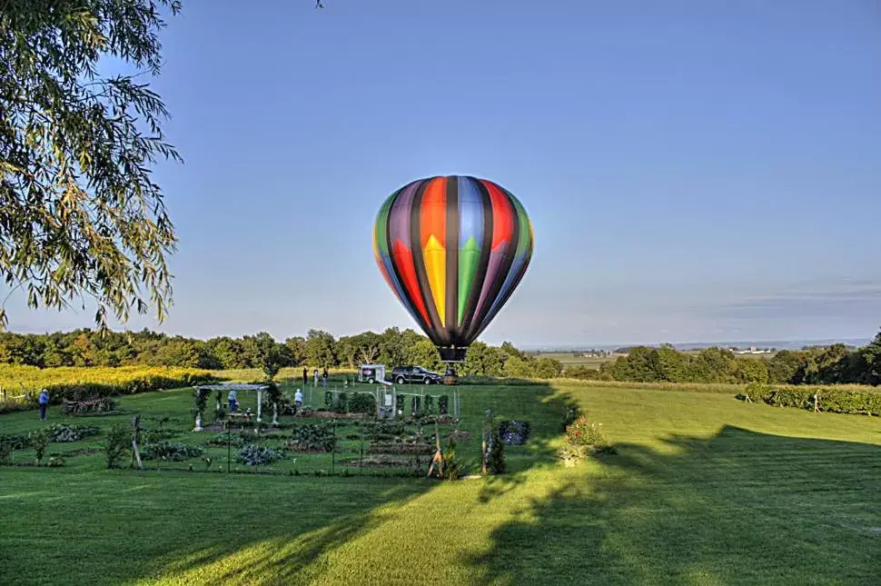 Activities in Los Gatos Bed & Breakfast