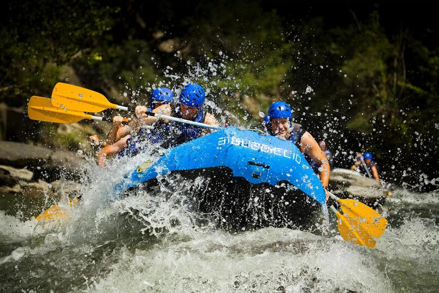 Activities in Hotel Restaurant Les Brases