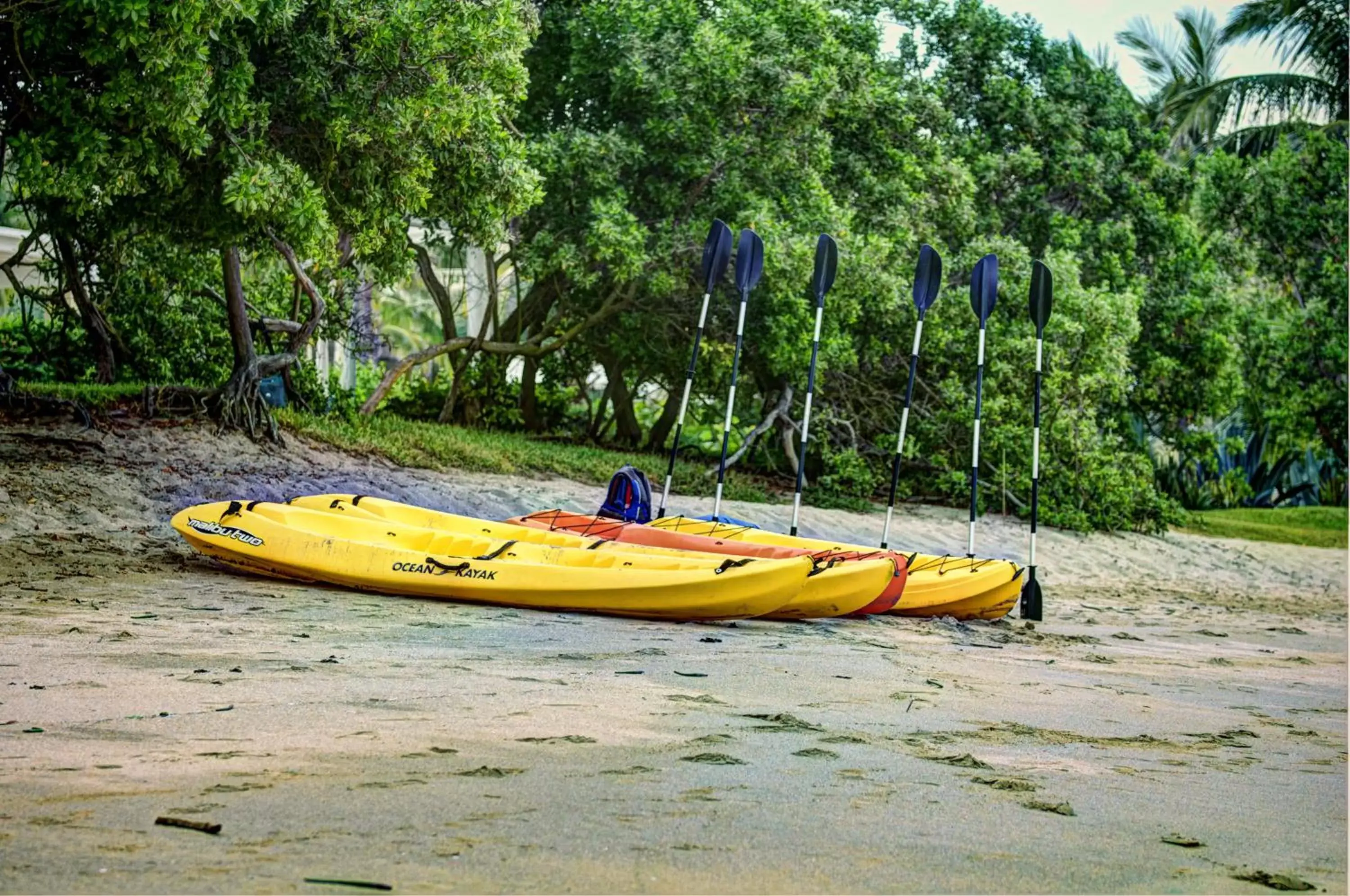 Activities, Canoeing in Pueblo Bonito Mazatlan Beach Resort - All Inclusive