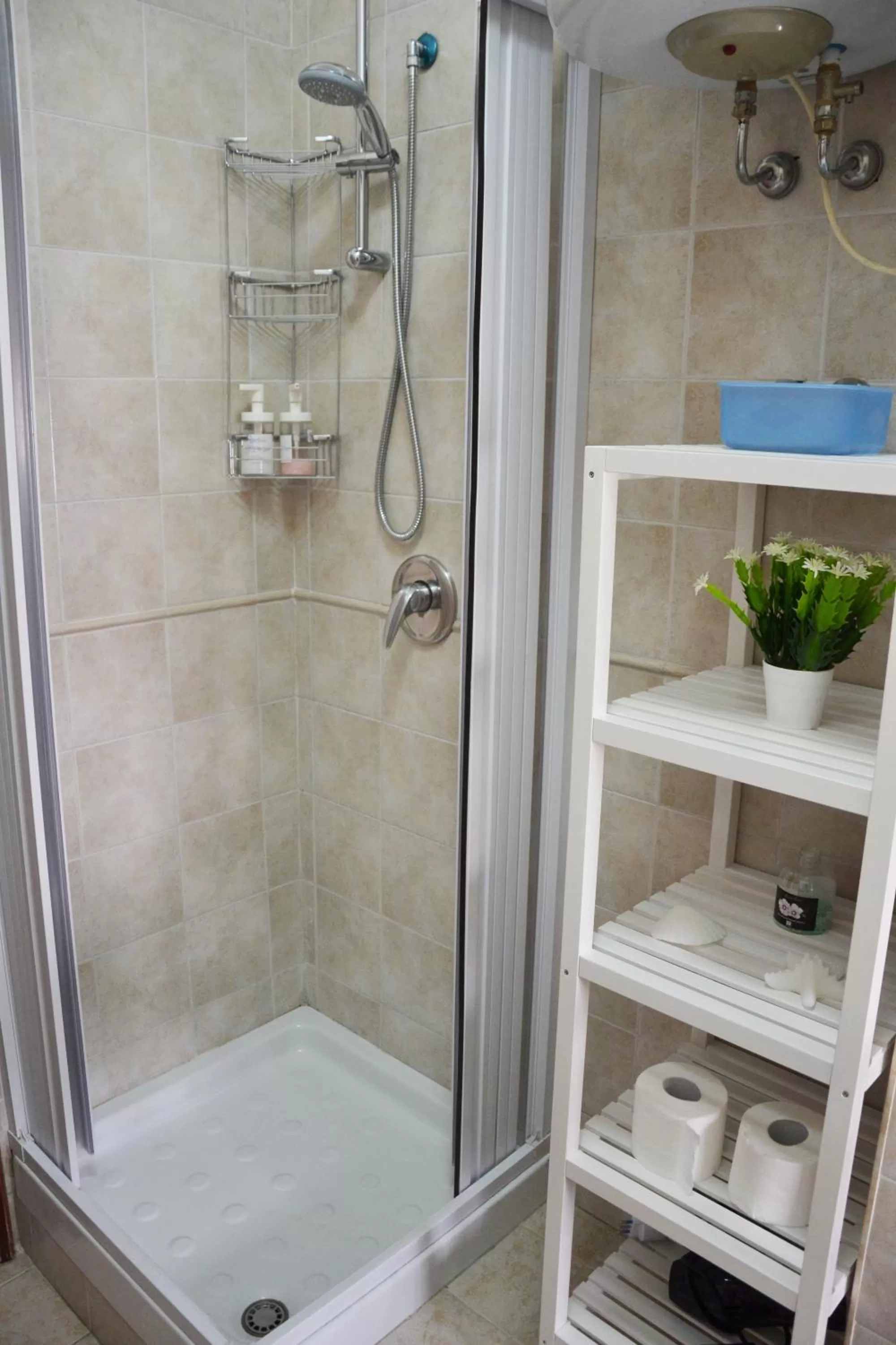 Shower, Bathroom in Mary's house