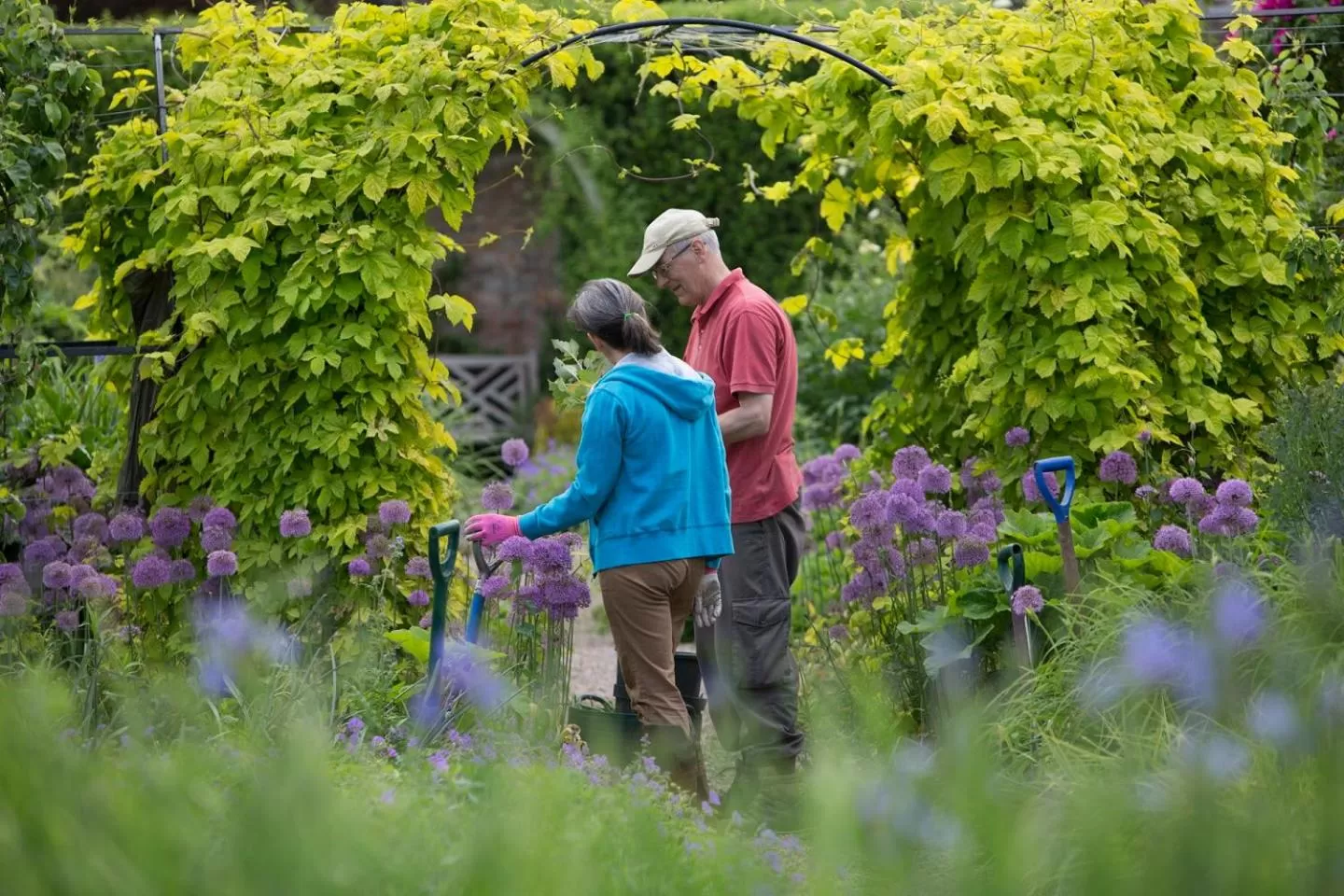 Garden in Middlethorpe Hall & Spa