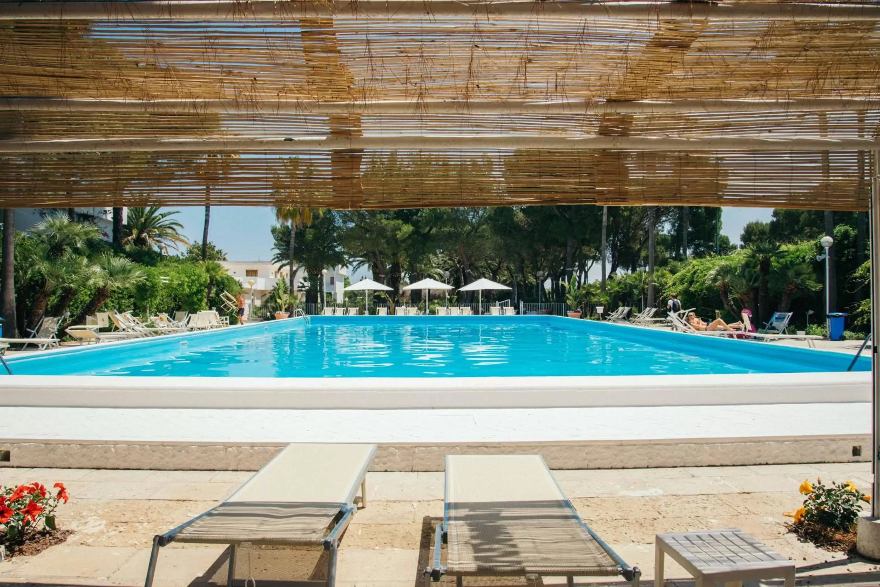 Swimming Pool in Hotel Riva Del Sole