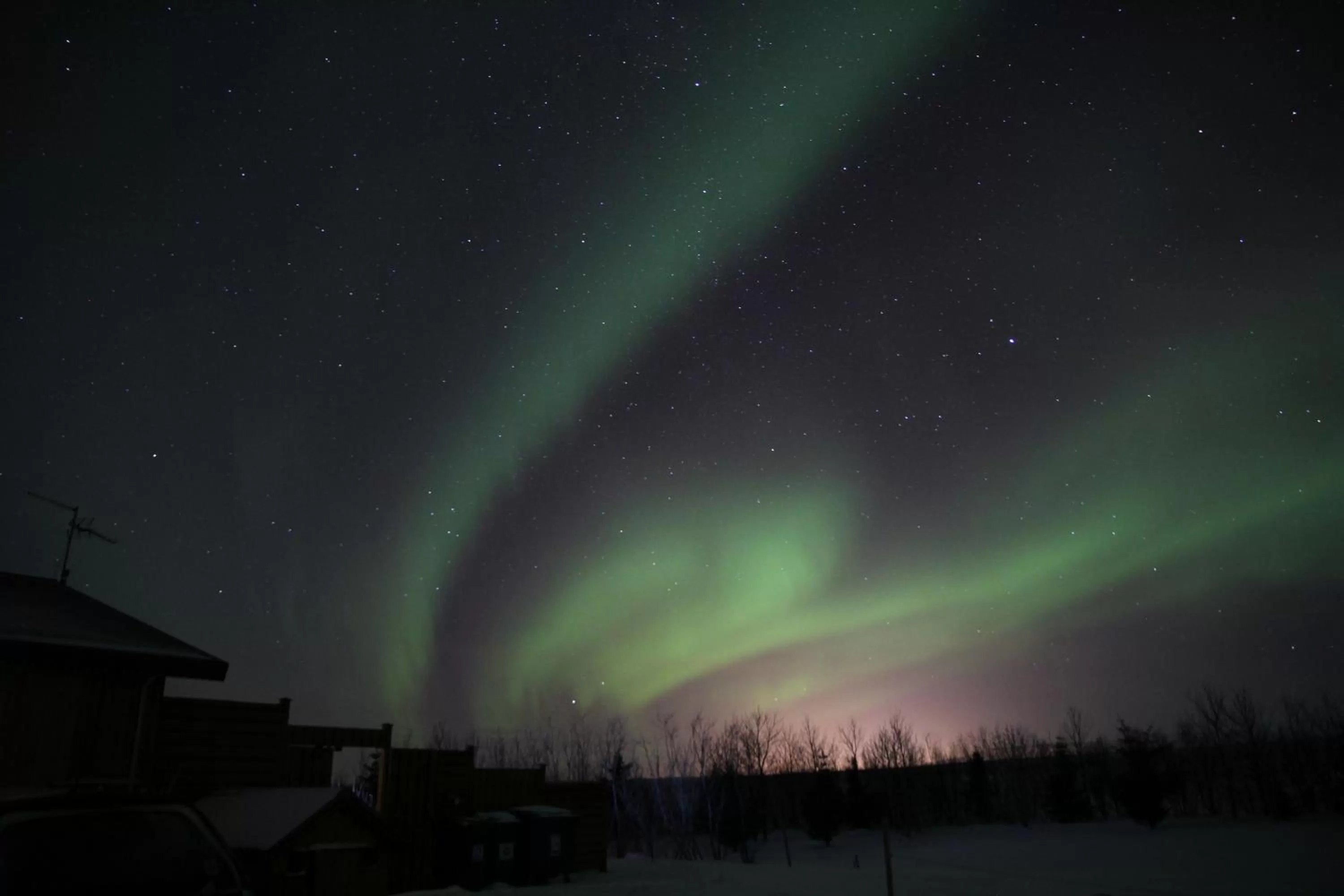 Other in Raven's Bed