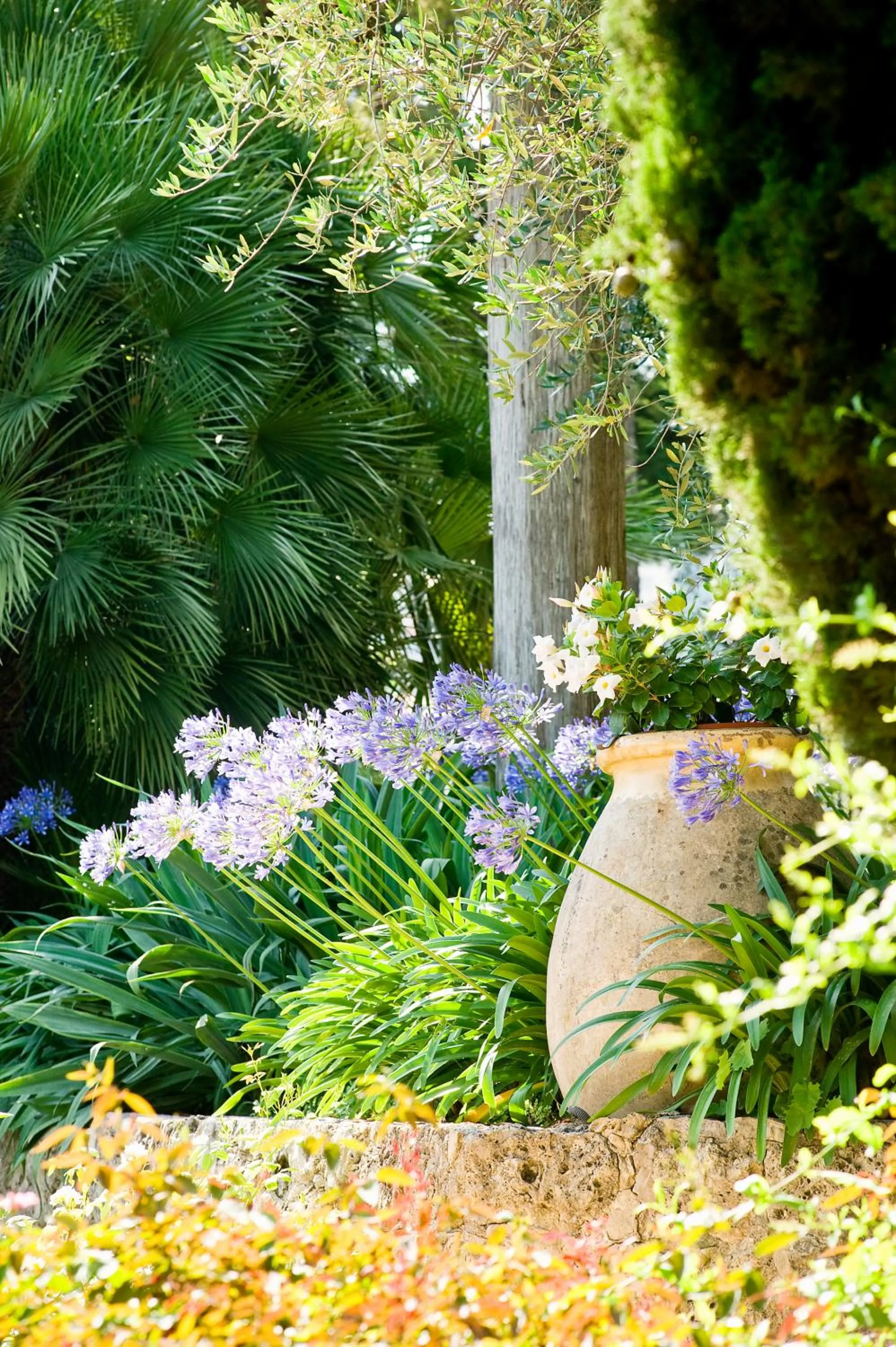 Facade/entrance in Bastide Saint Antoine - Relais & Châteaux
