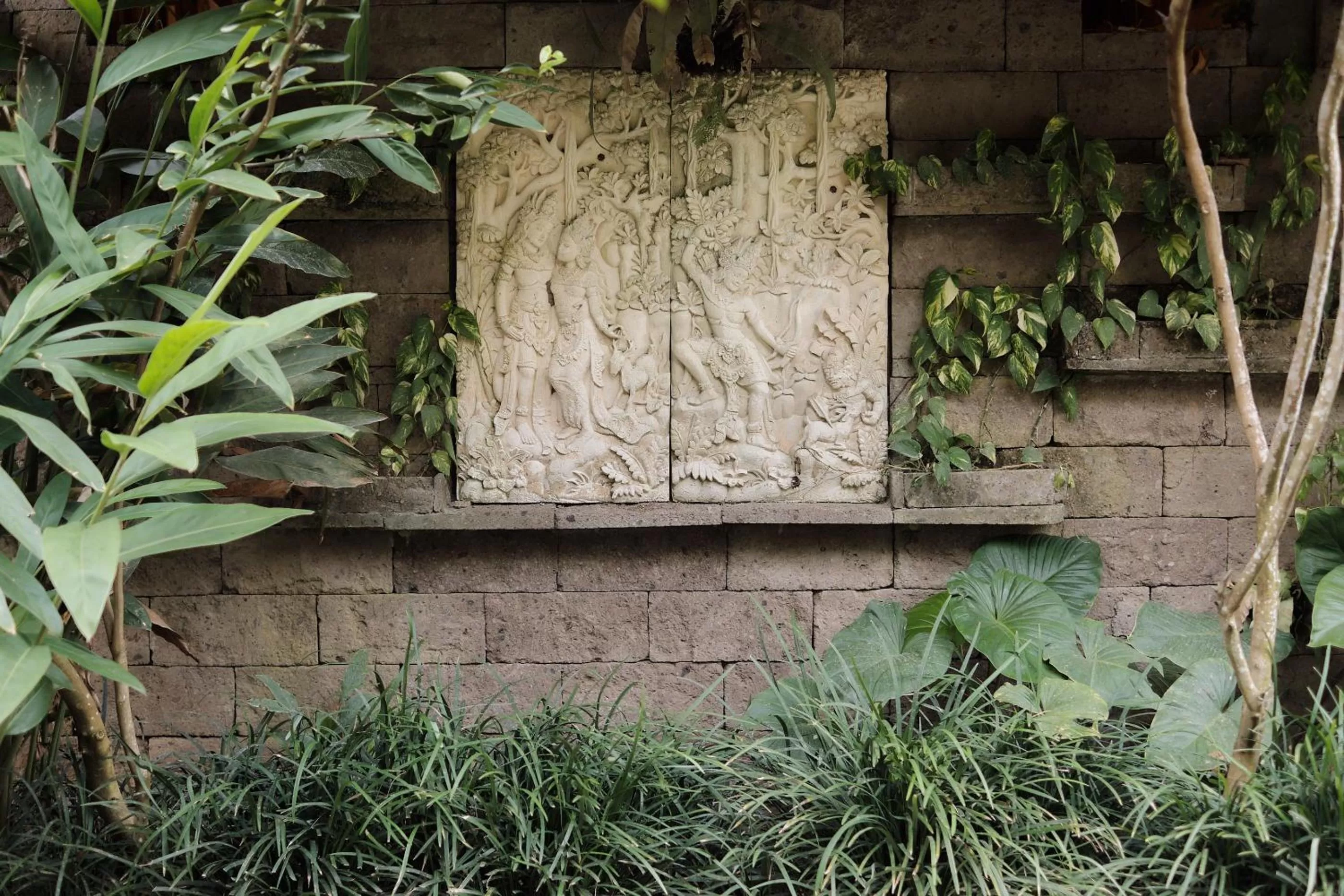 Garden in Joglo Organik Guesthouse