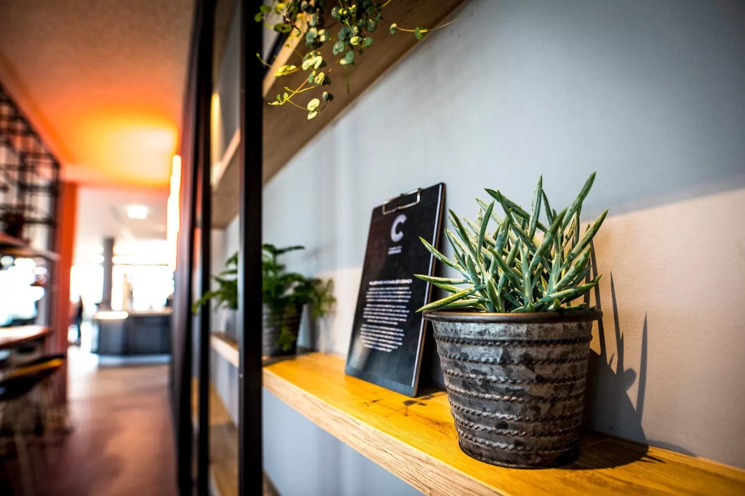 Property building in ibis Wels