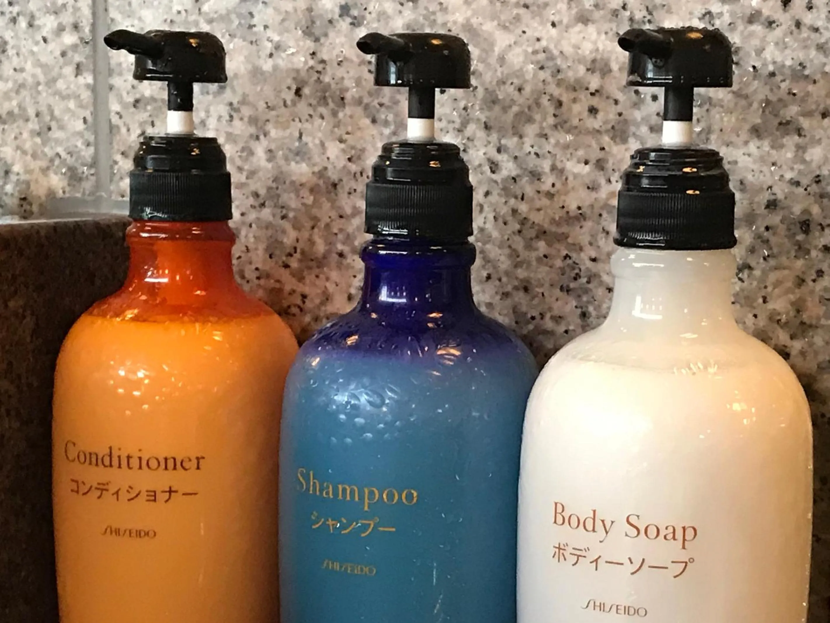 Decorative detail in Hotel Route-Inn Sapporo Chuo