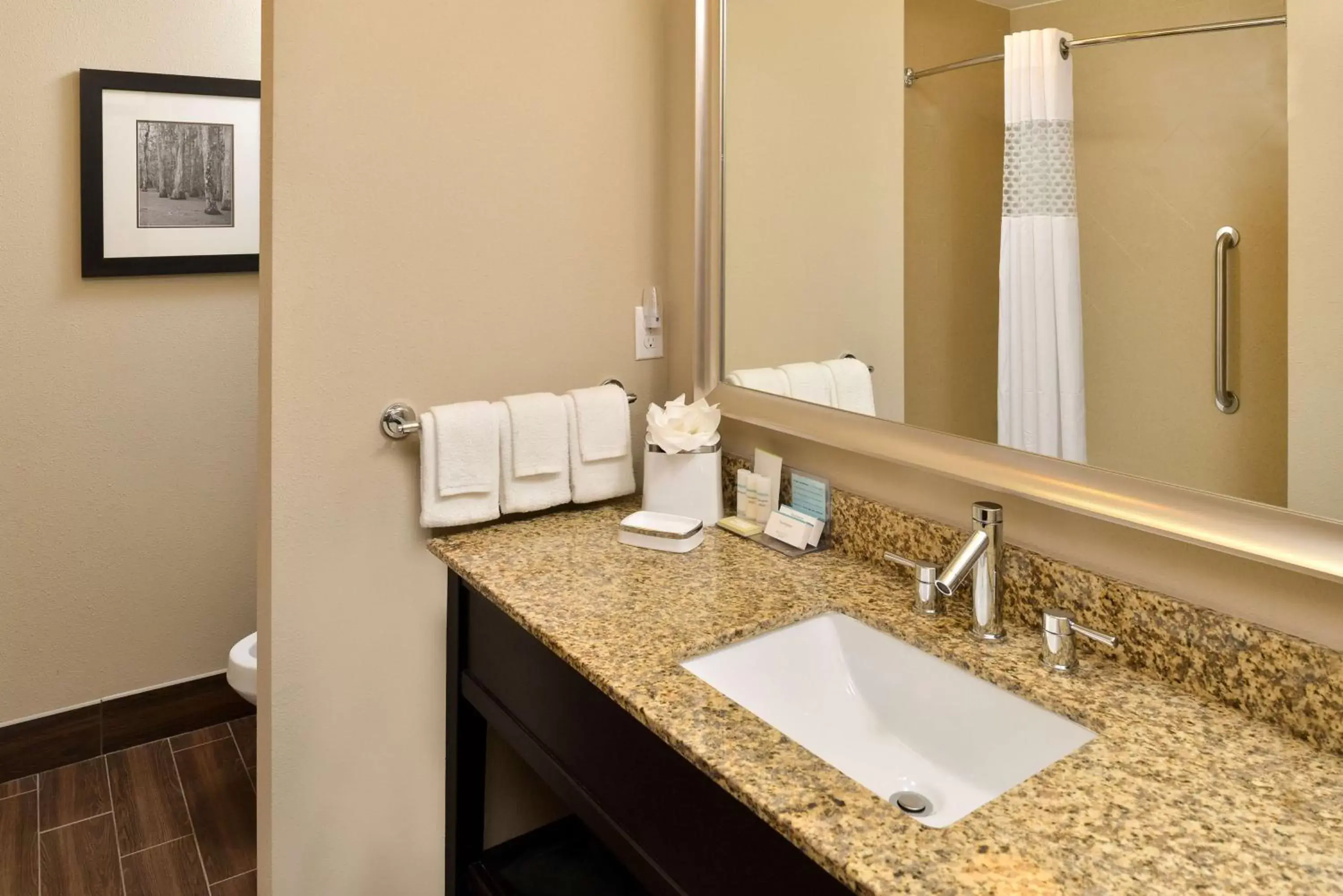 Bathroom in Hampton Inn & Suites Harvey