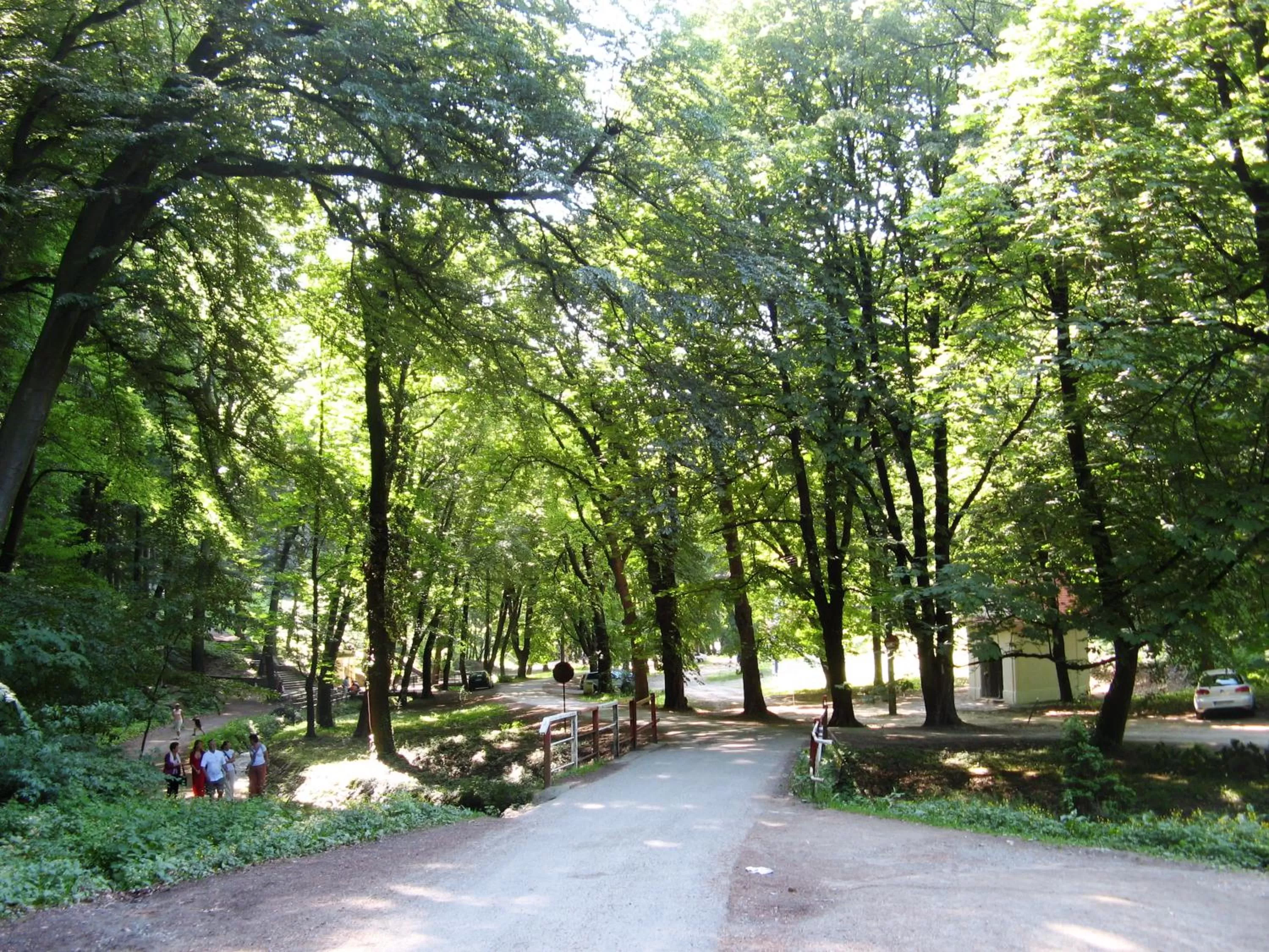 Neighbourhood in Spa & Pool Apartment Hotel - Restaurant VILLA IVICA