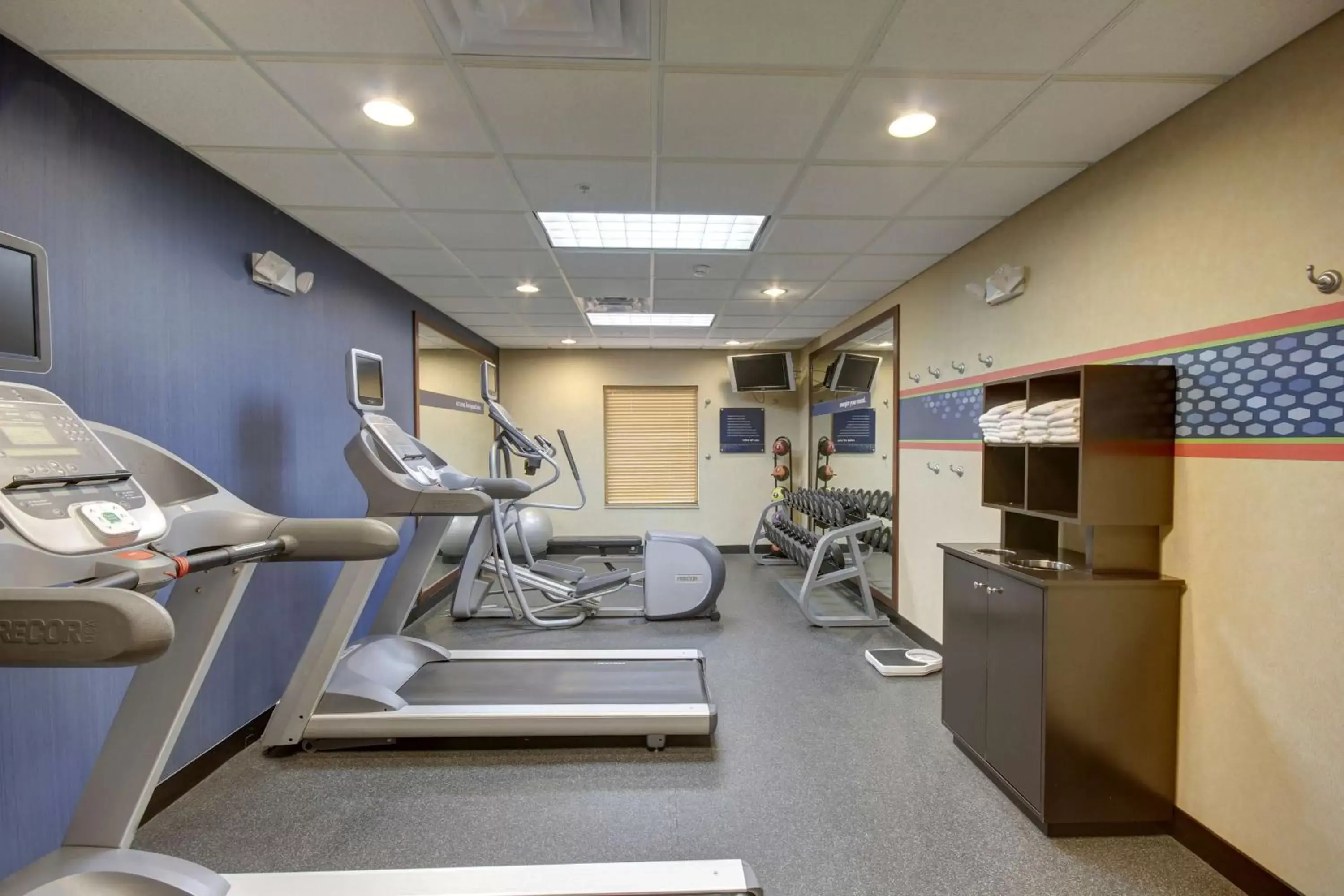Fitness centre/facilities, Fitness Center/Facilities in Hampton Inn and Suites Alexandria