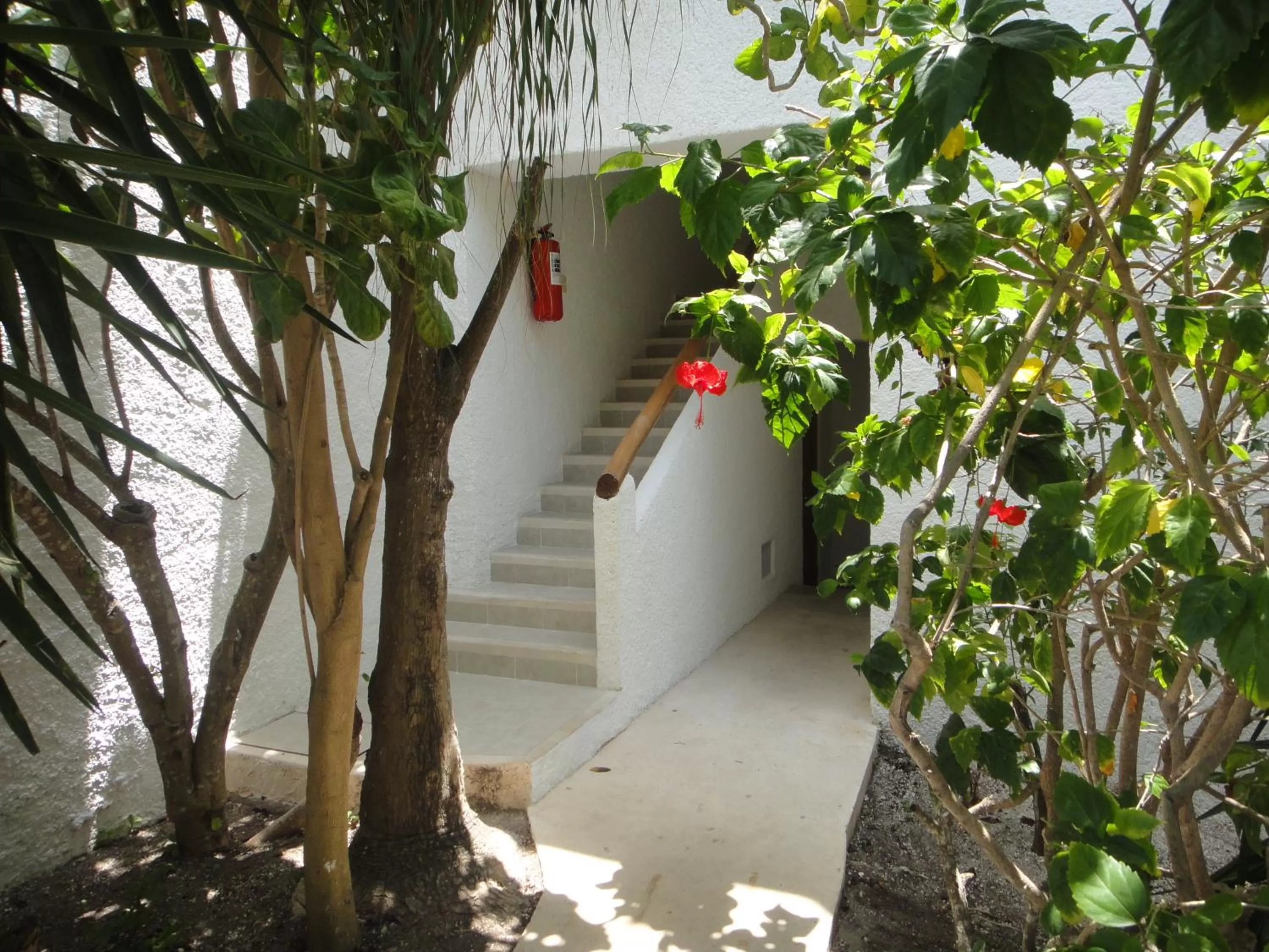 Decorative detail in Sotavento Hotel & Yacht Club