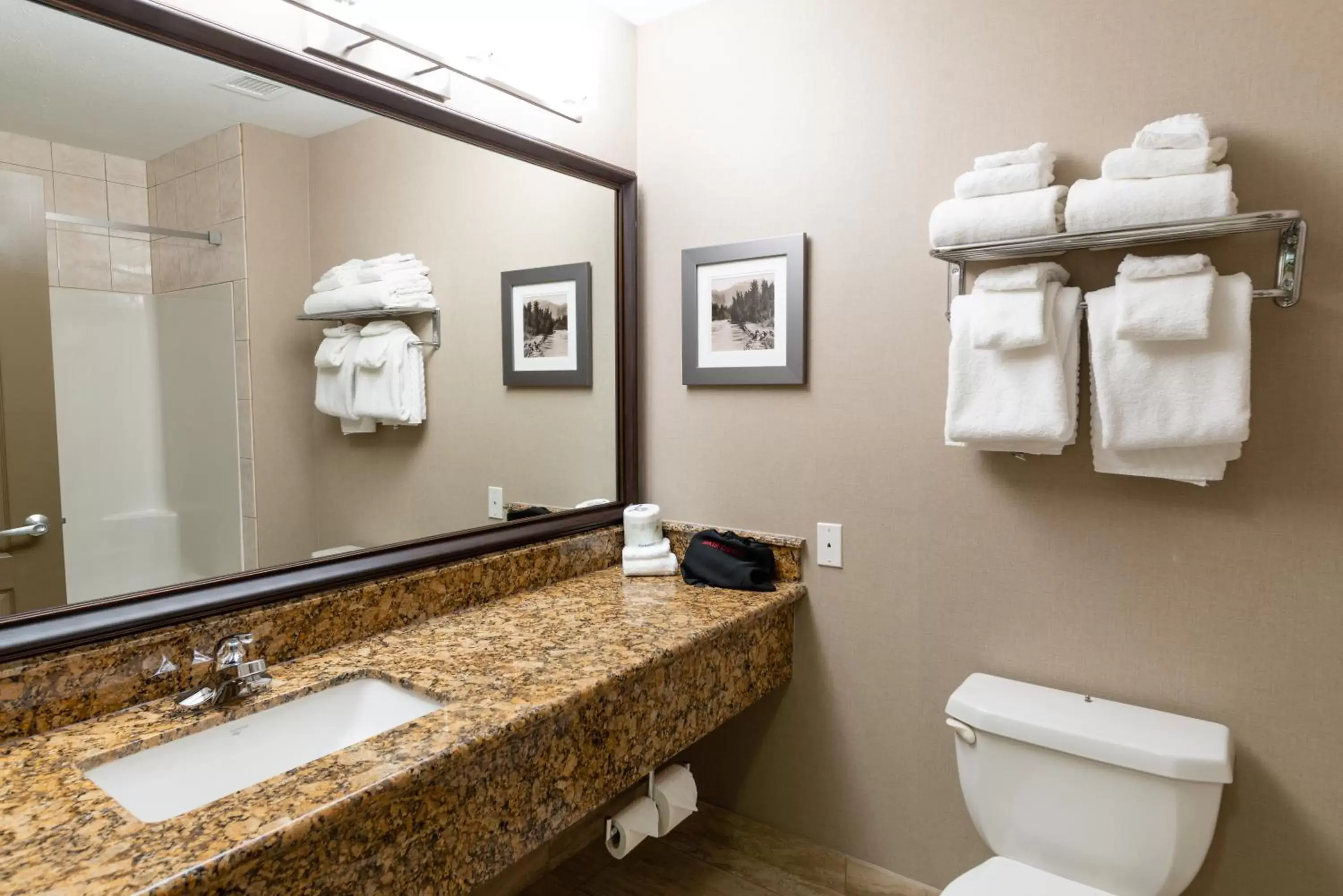 Bathroom in Best Western Plus Fernie Mountain Lodge