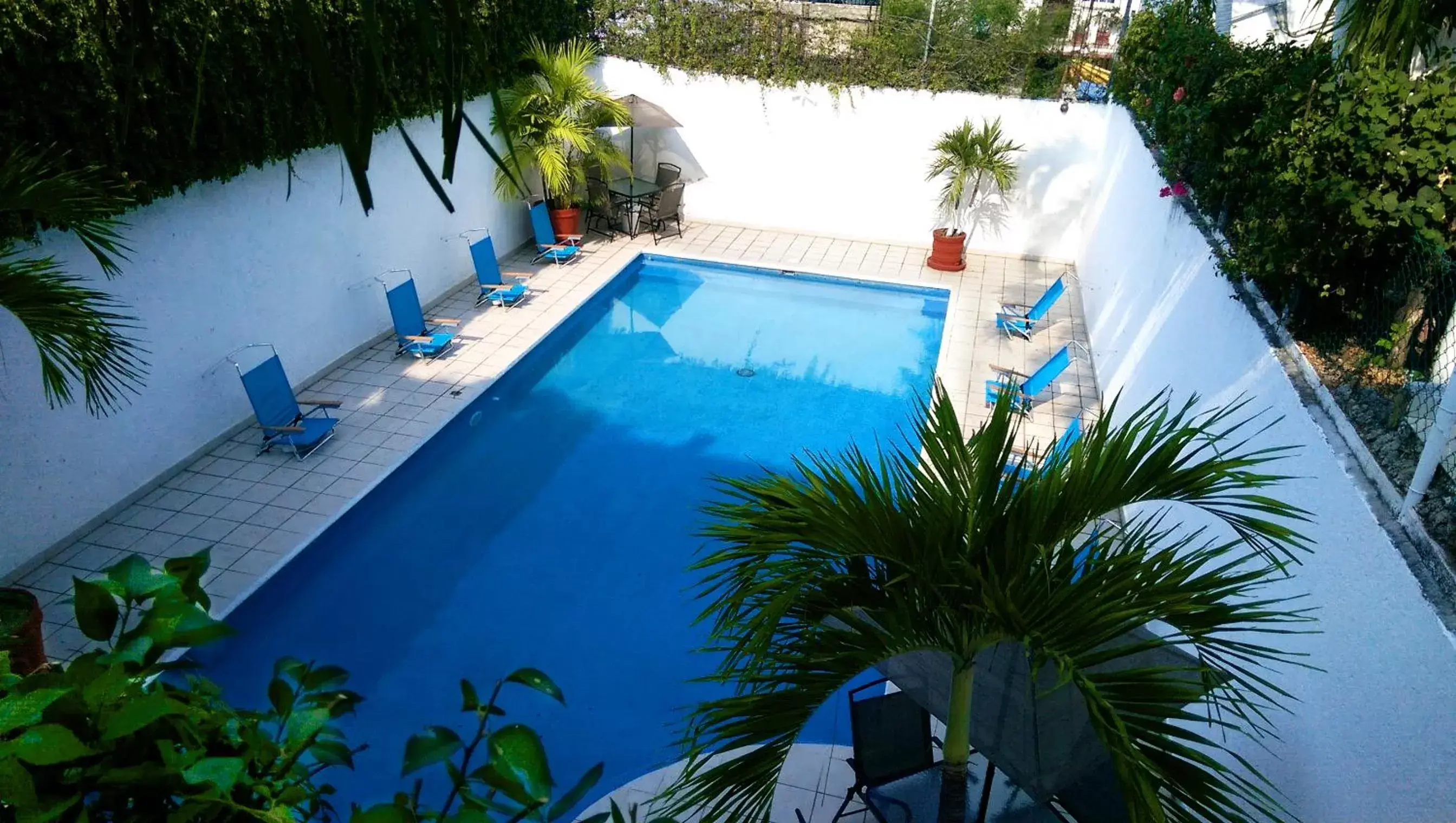 Swimming pool, Pool View in D'Cesar Hotel Acapulco