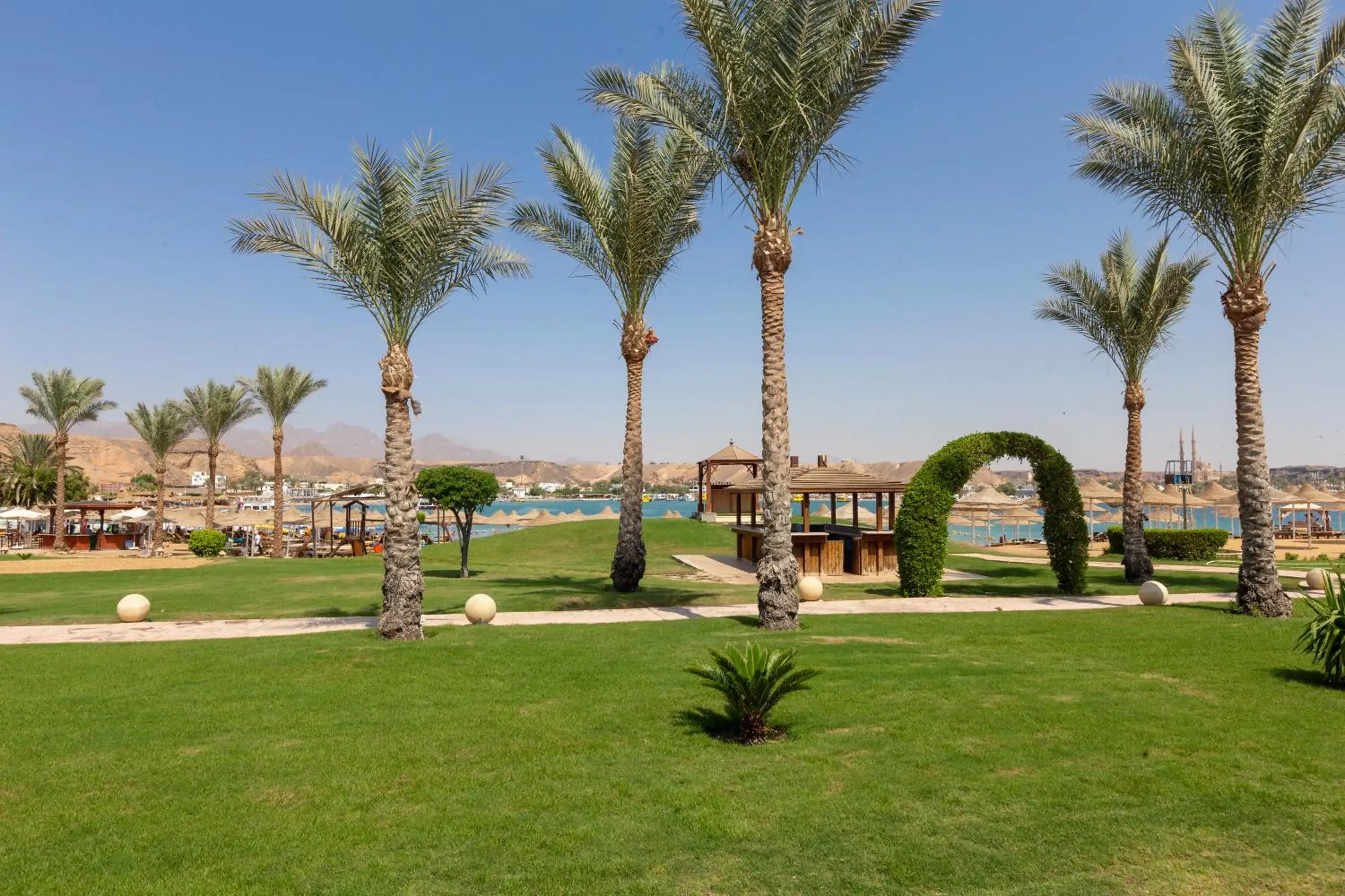 Beach, Garden in Xperience St. George Sharm El Sheikh