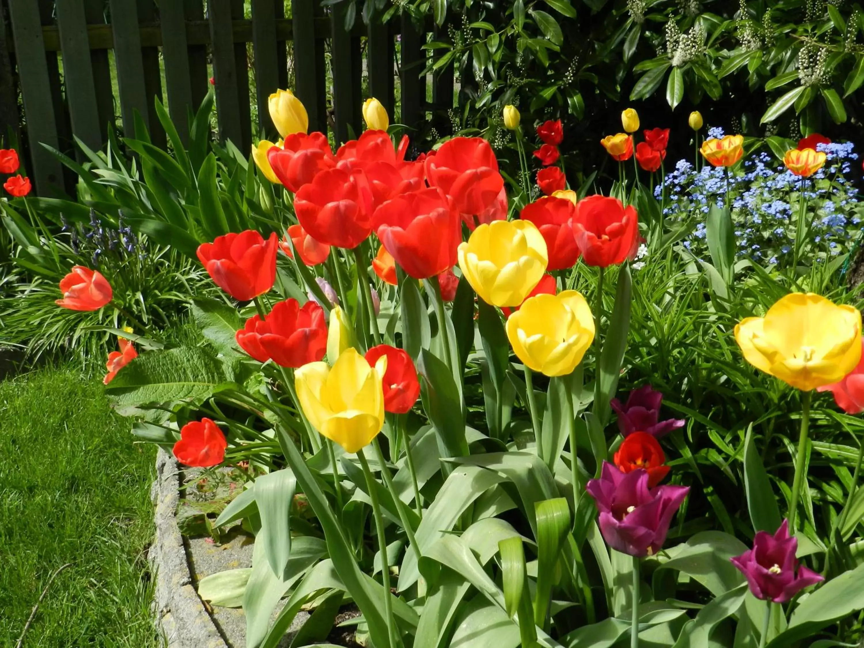 Garden in Serenity