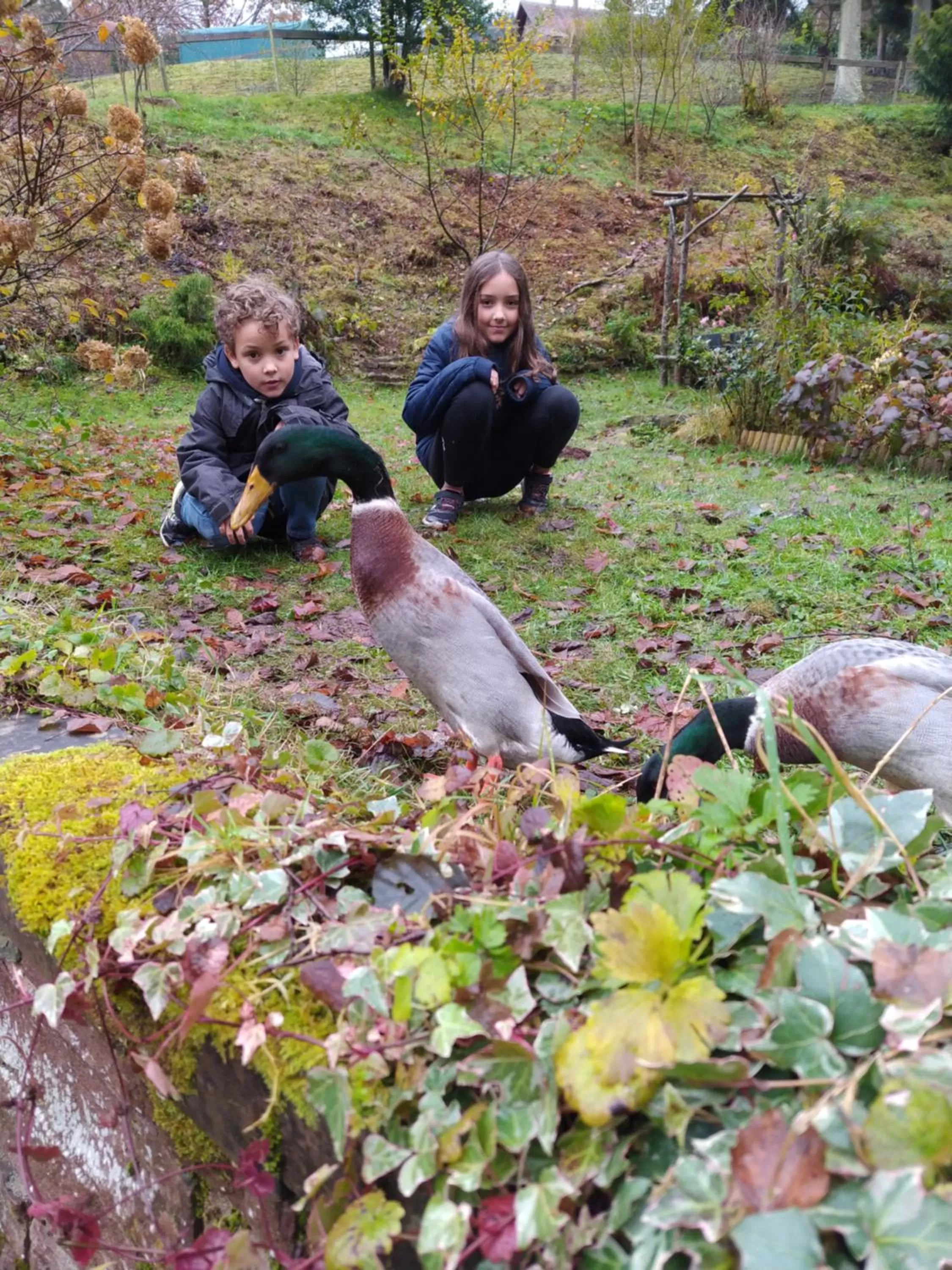 Garden in L'Atelier de Gisèle