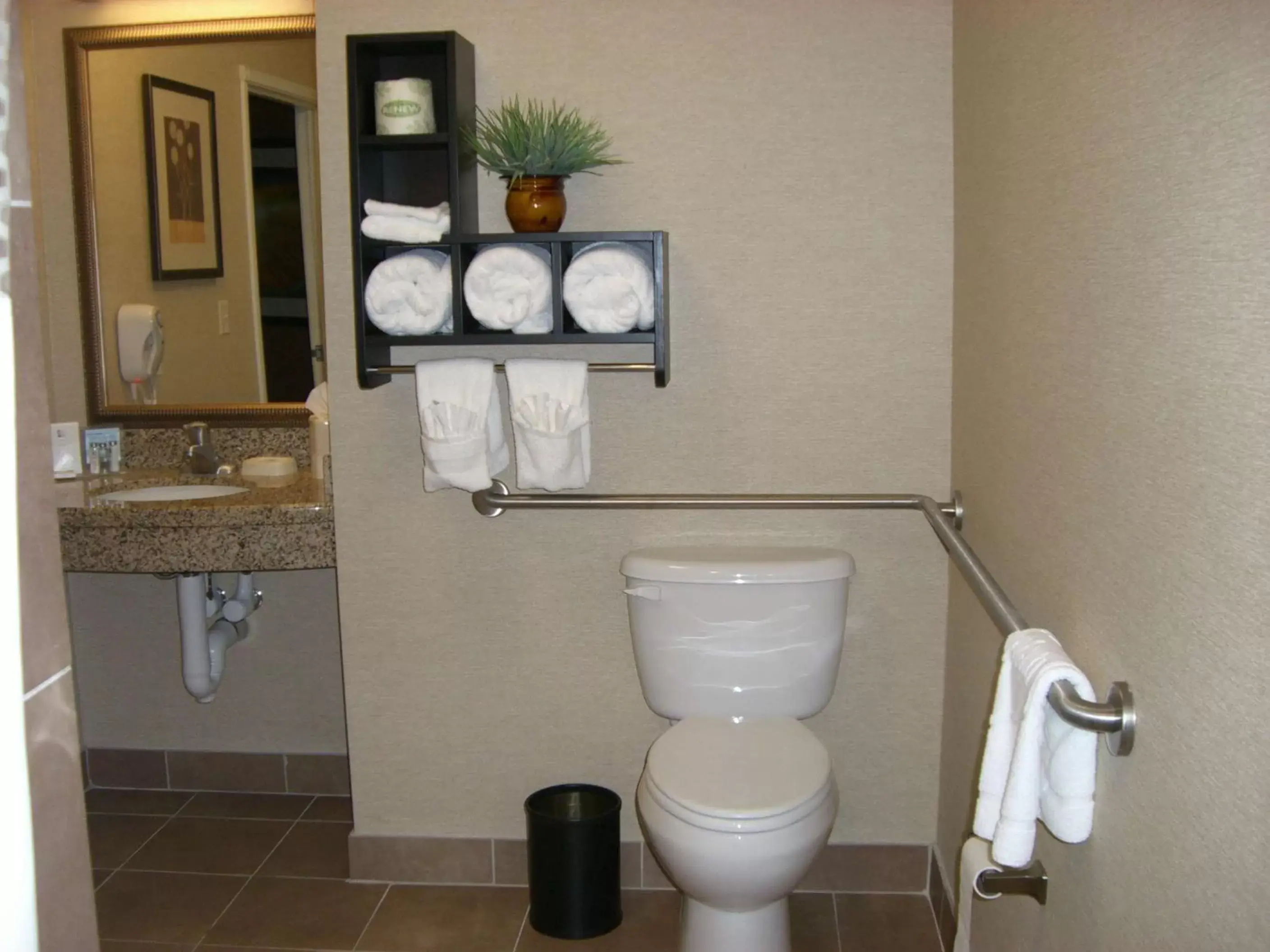 Bathroom in Hampton Inn and Suites Pueblo/North