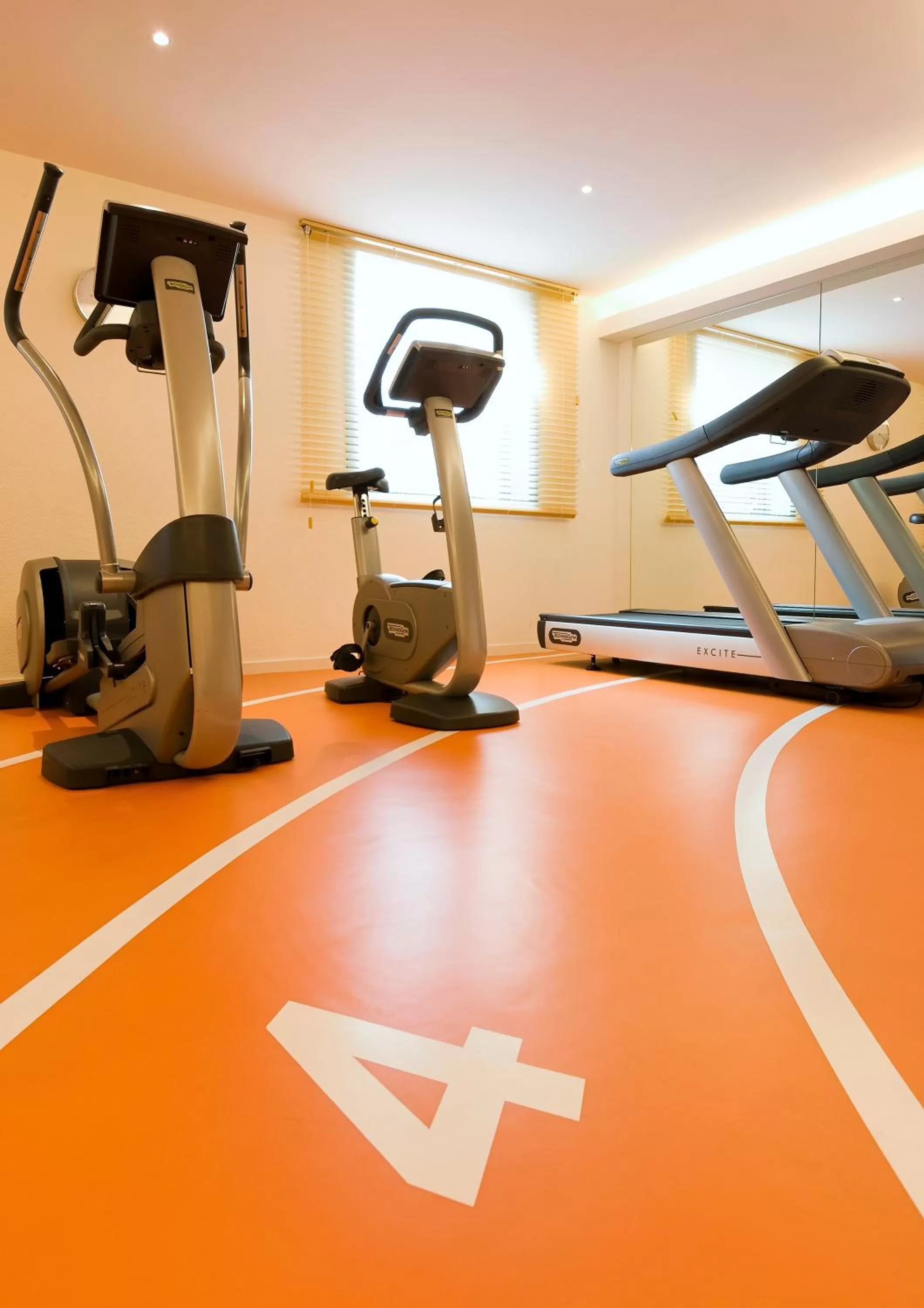 Fitness centre/facilities in Novotel Grenoble Centre