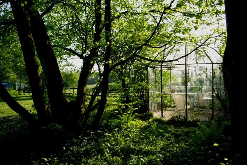 Garden in Trolleberg Bed & Breakfast