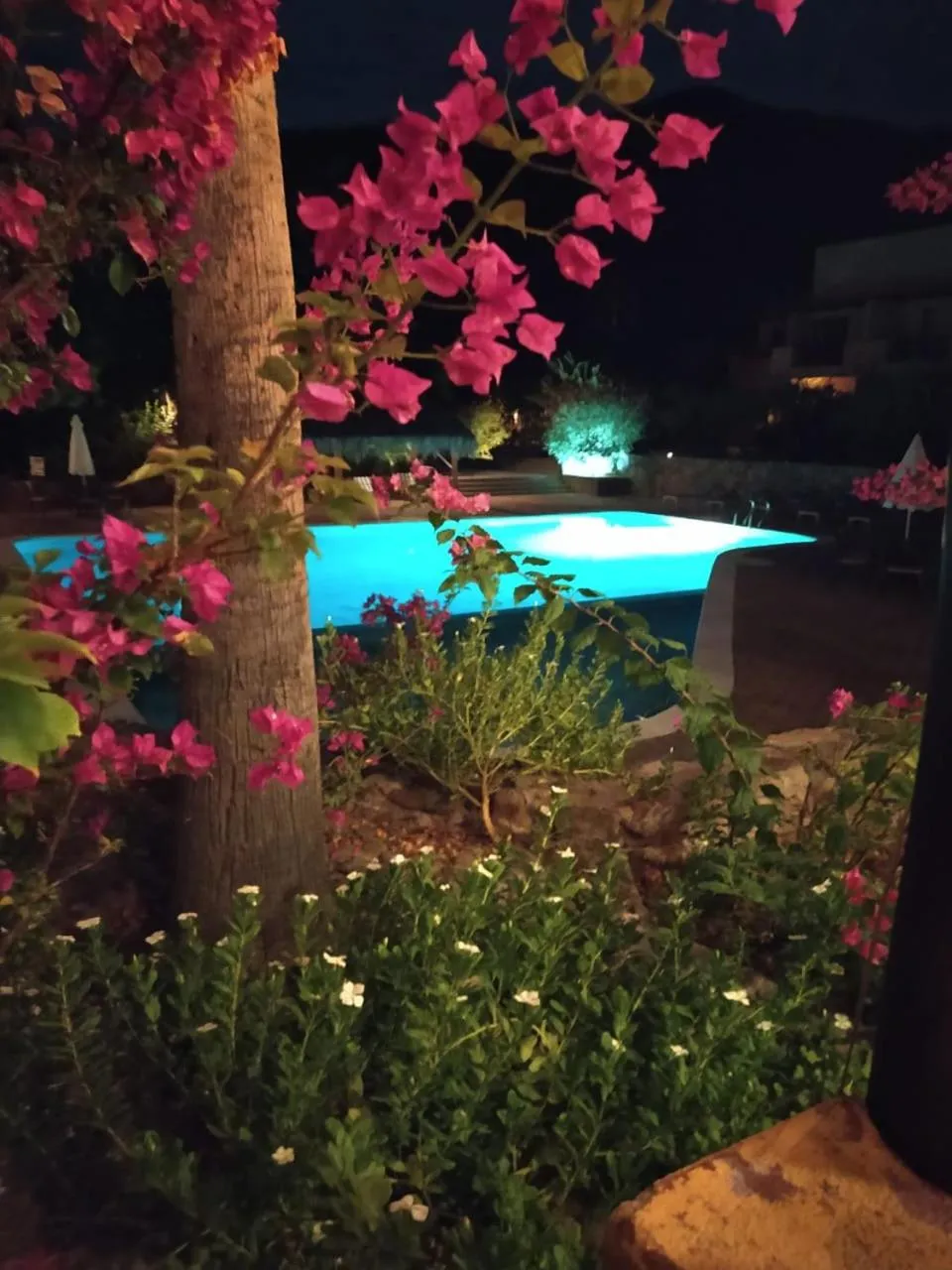 Night in Tripui Hotel