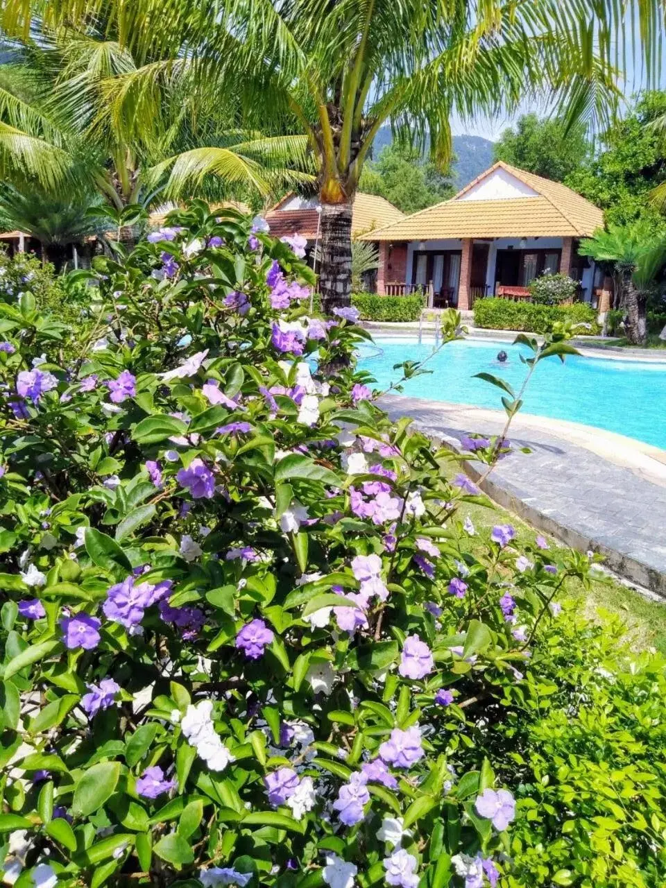 Garden, Property Building in Wildland Resort