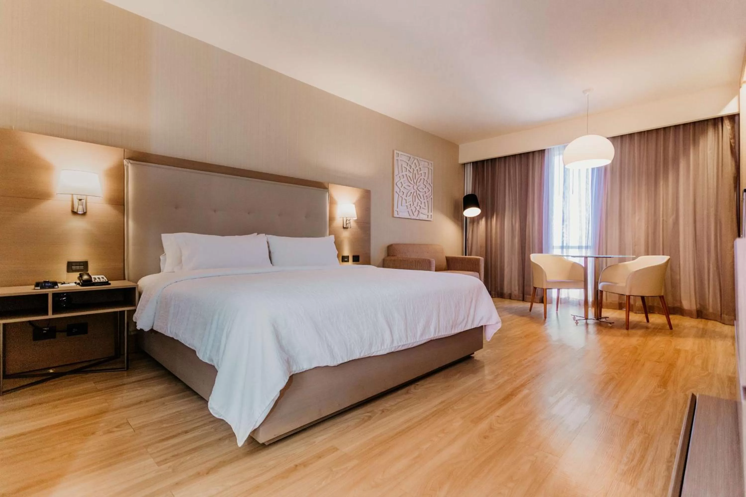 Living room, Bed in Hilton Garden Inn Silao Aeropuerto Bajio