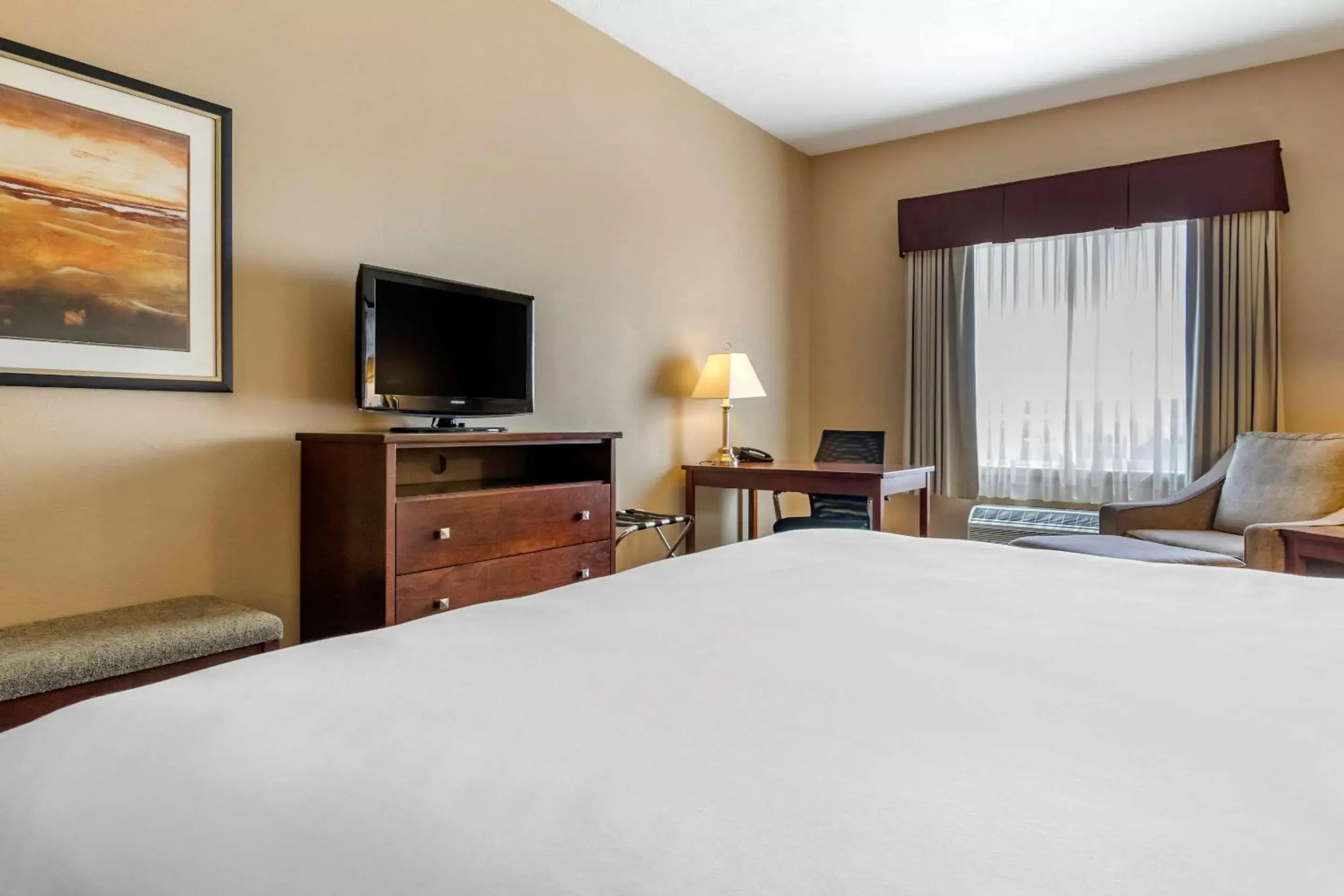 Photo of the whole room, Bed in Quality Inn & Suites