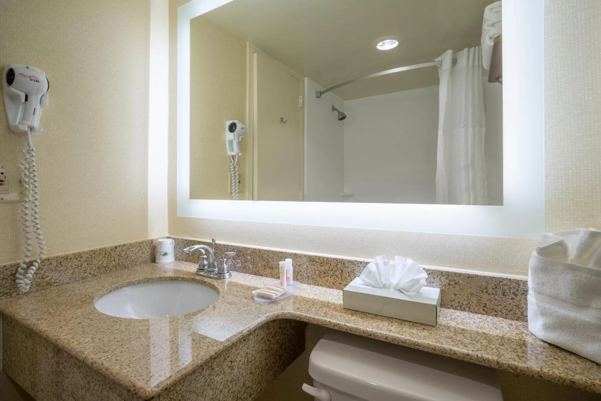 Shower in Wyndham Garden Washington DC North