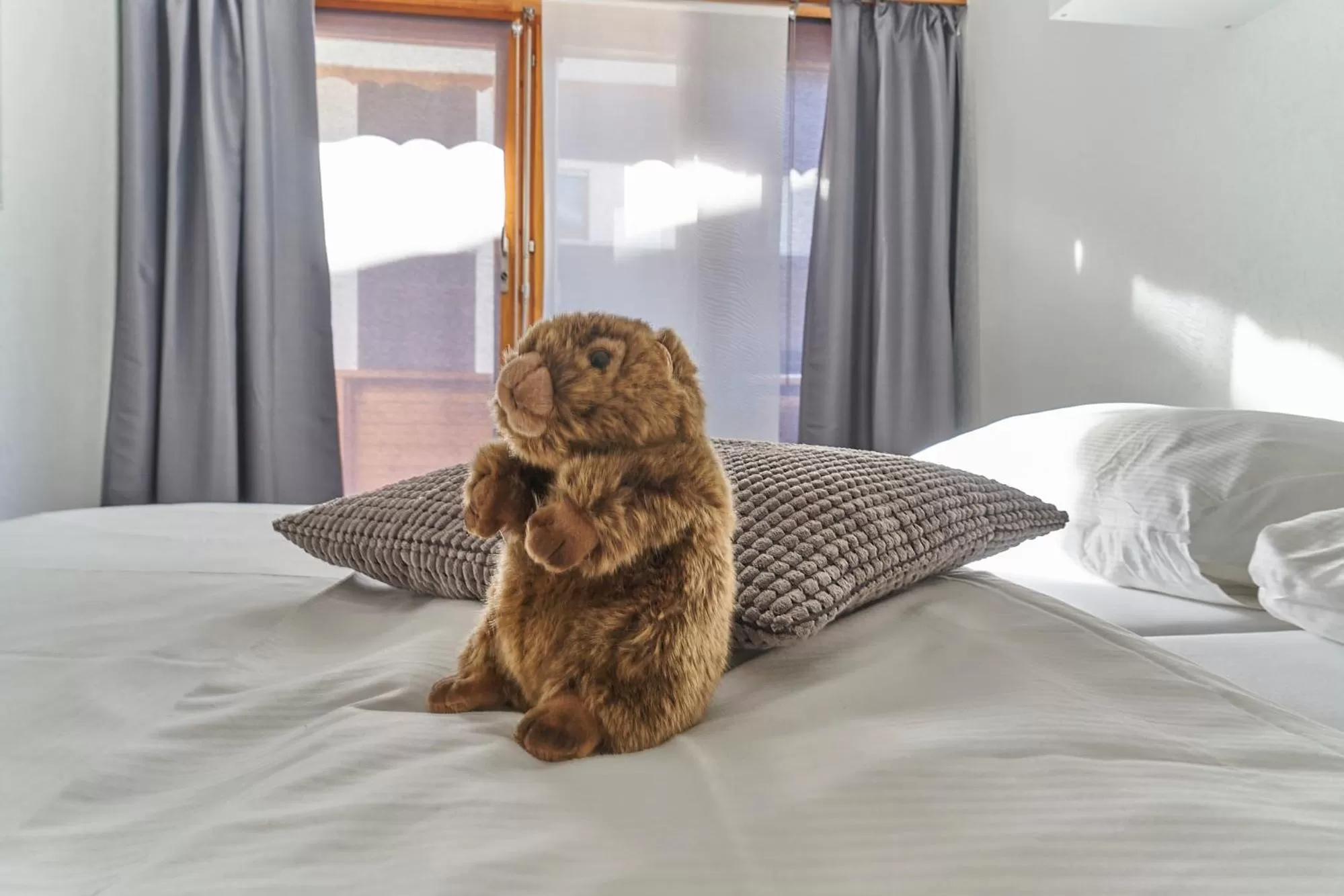 Bed in Hotel Marmotte