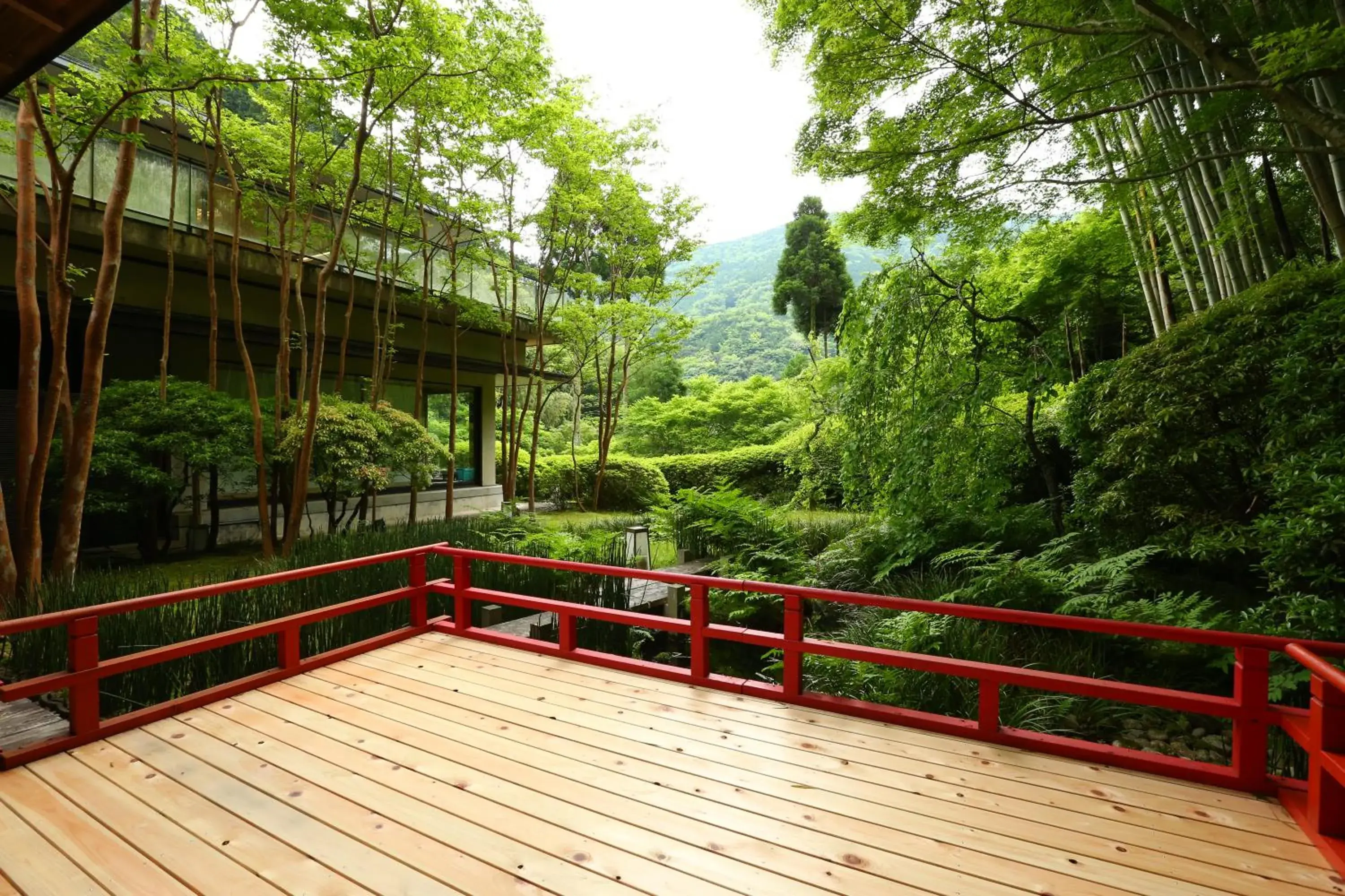 Garden, Balcony/Terrace in Tsubaki