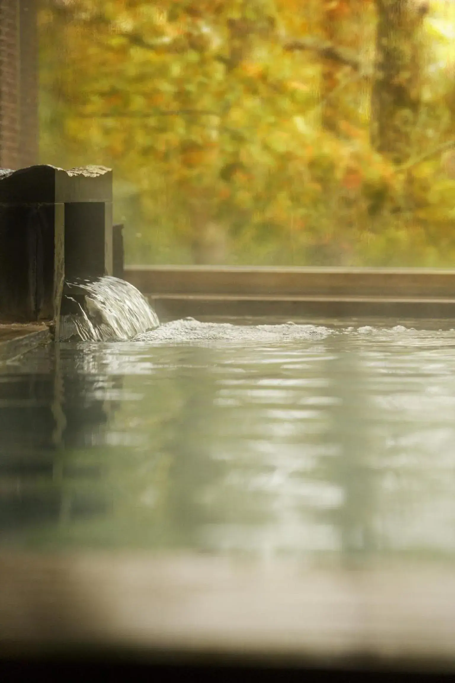 Hot Spring Bath in Hotel Kanronomori