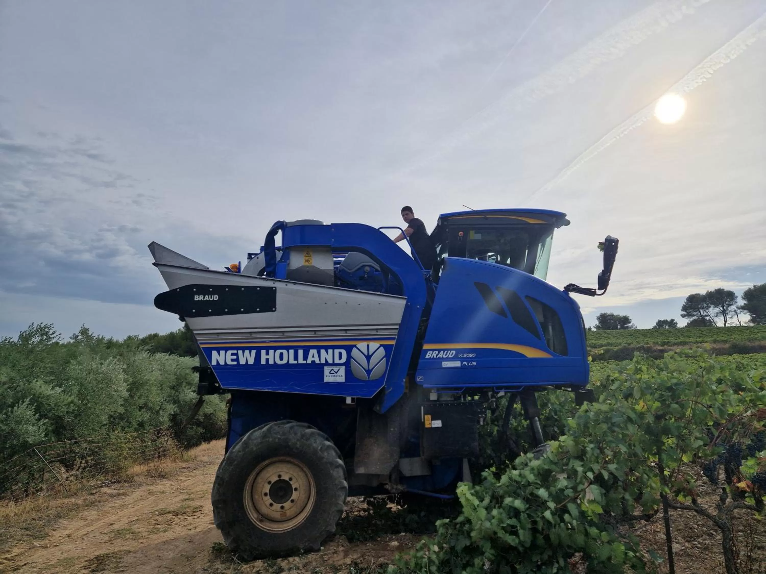 Bastide Bellugue Maison d'hôtes réseau Bienvenue à La Ferme à 3 minutes de Lourmarin
