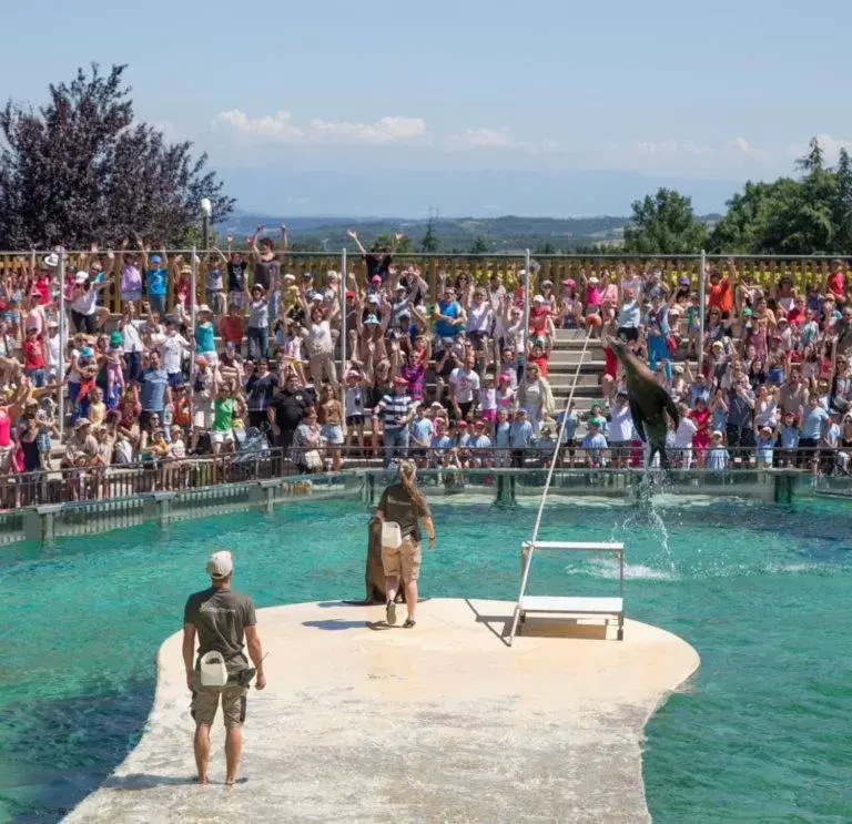 Activities, Beach in Le Chalet du Parc