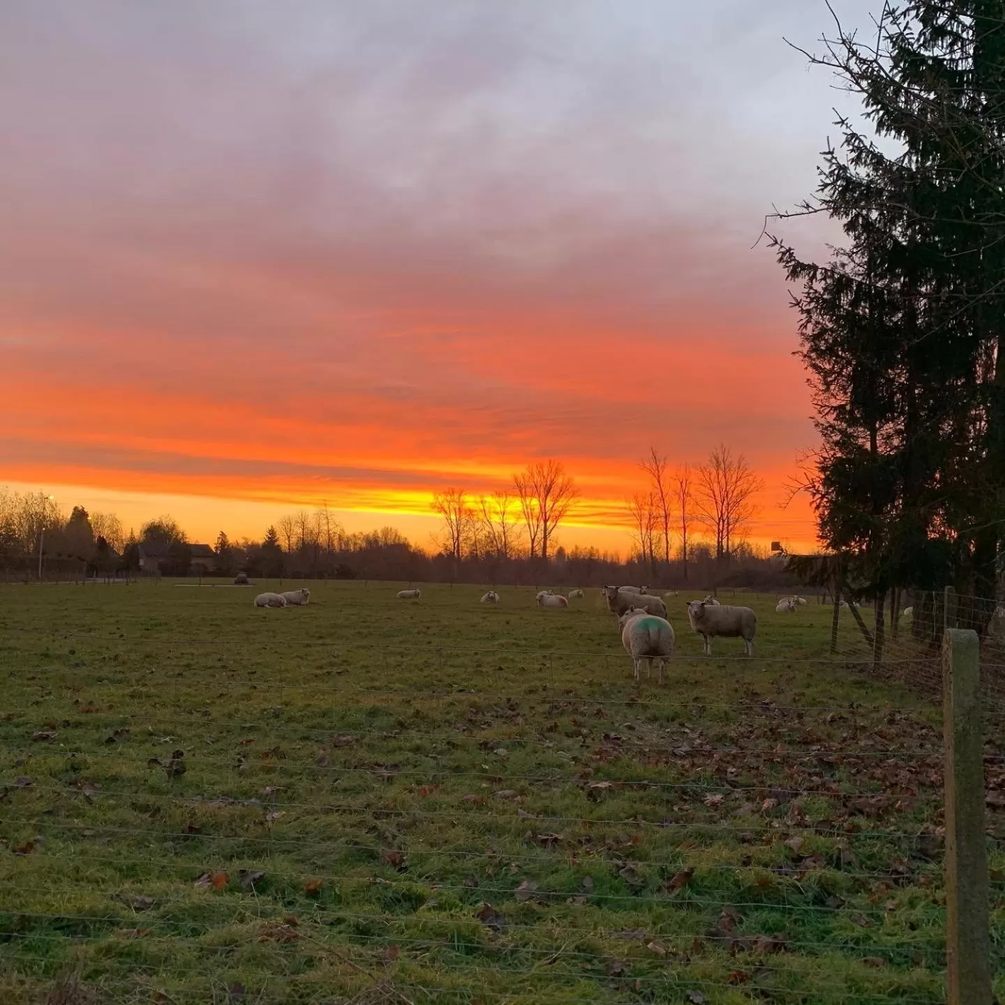 Sunrise in B&B elzartwinning